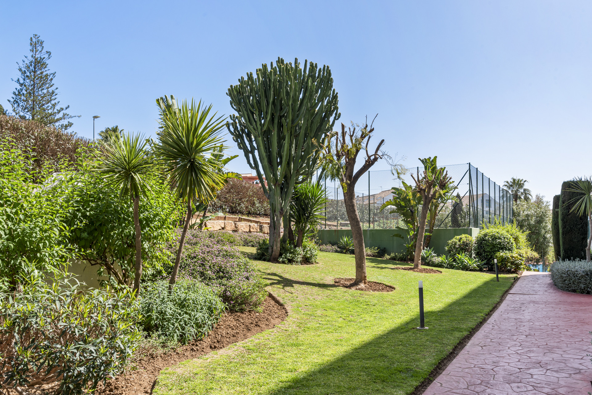 Landscaped garden with various plants and trees near a tennis court.