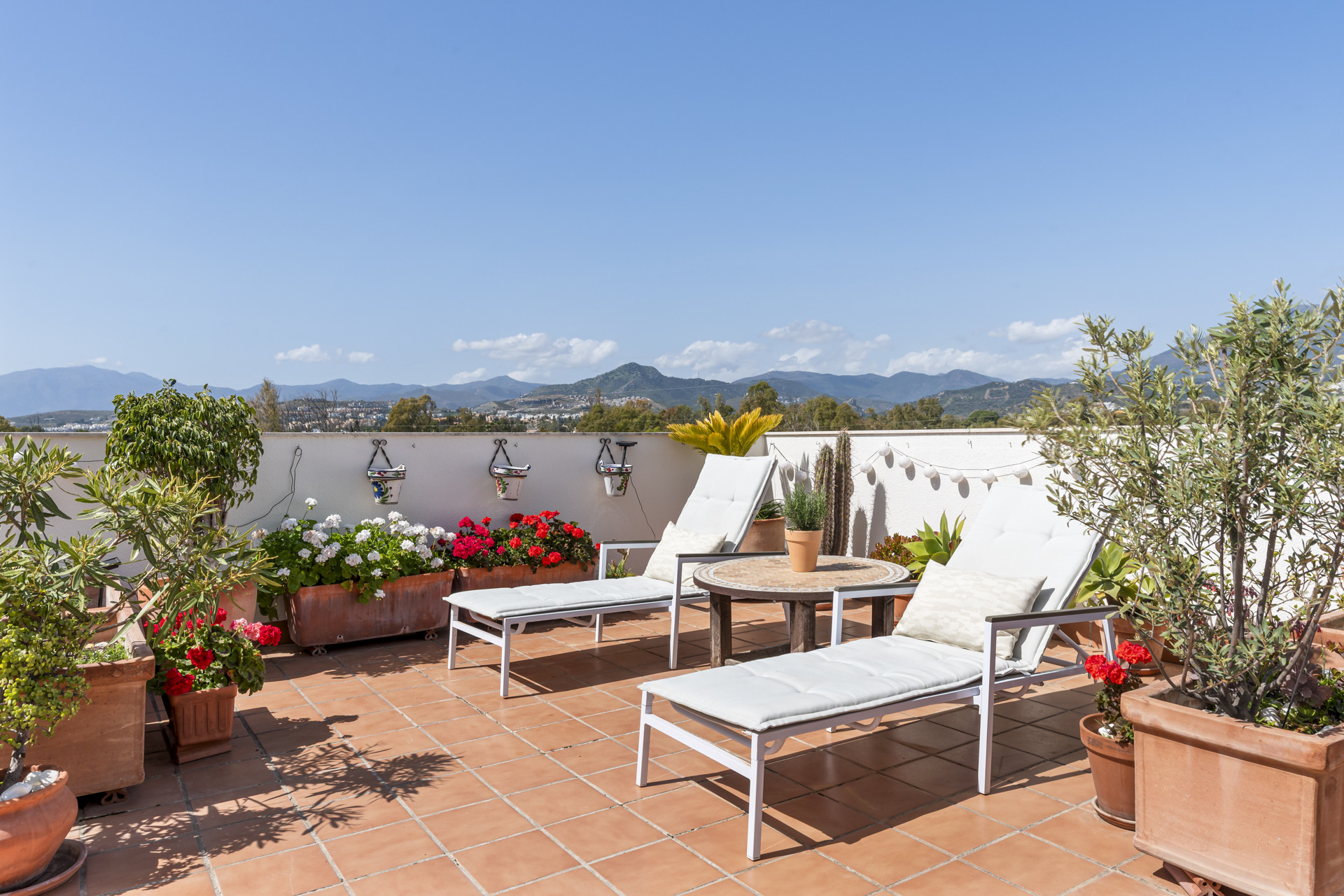 Lounge chairs and table on the terrace surrounded by flowering plants and clear blue sky.