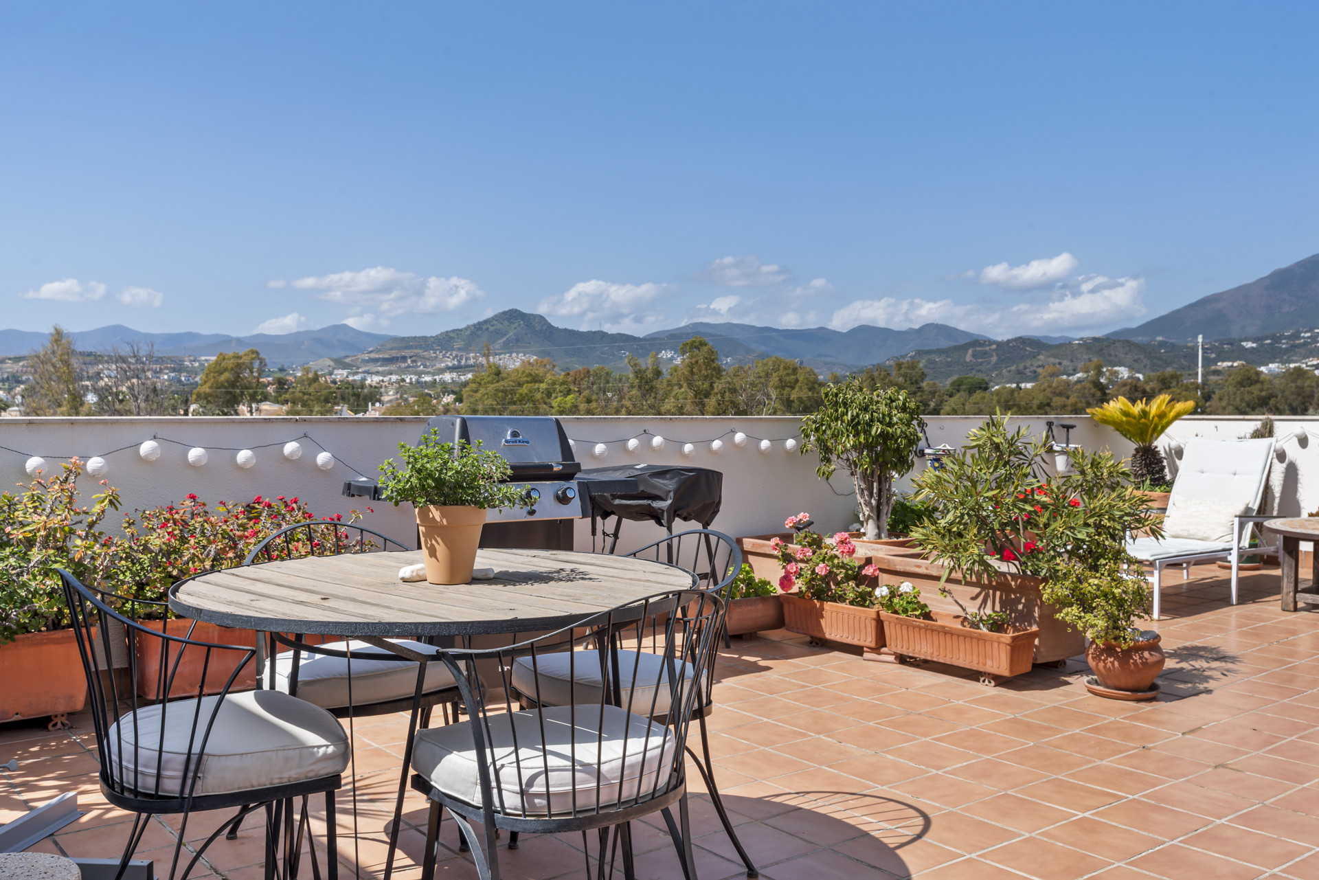 Decorative plants and mountain backdrop on the terrace.