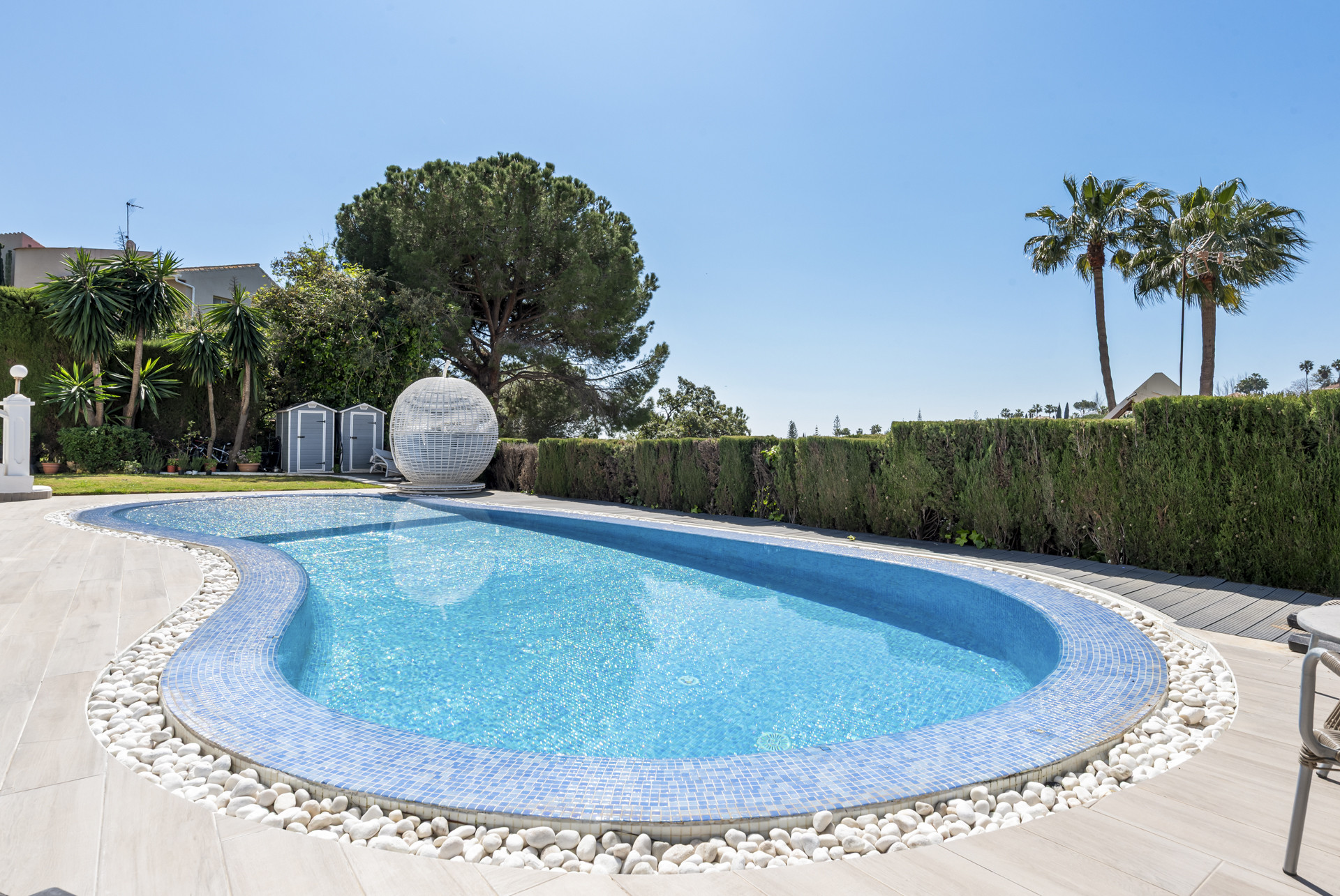 Curved swimming pool with blue tiles and white pebbles, surrounded by green hedges and palm trees.