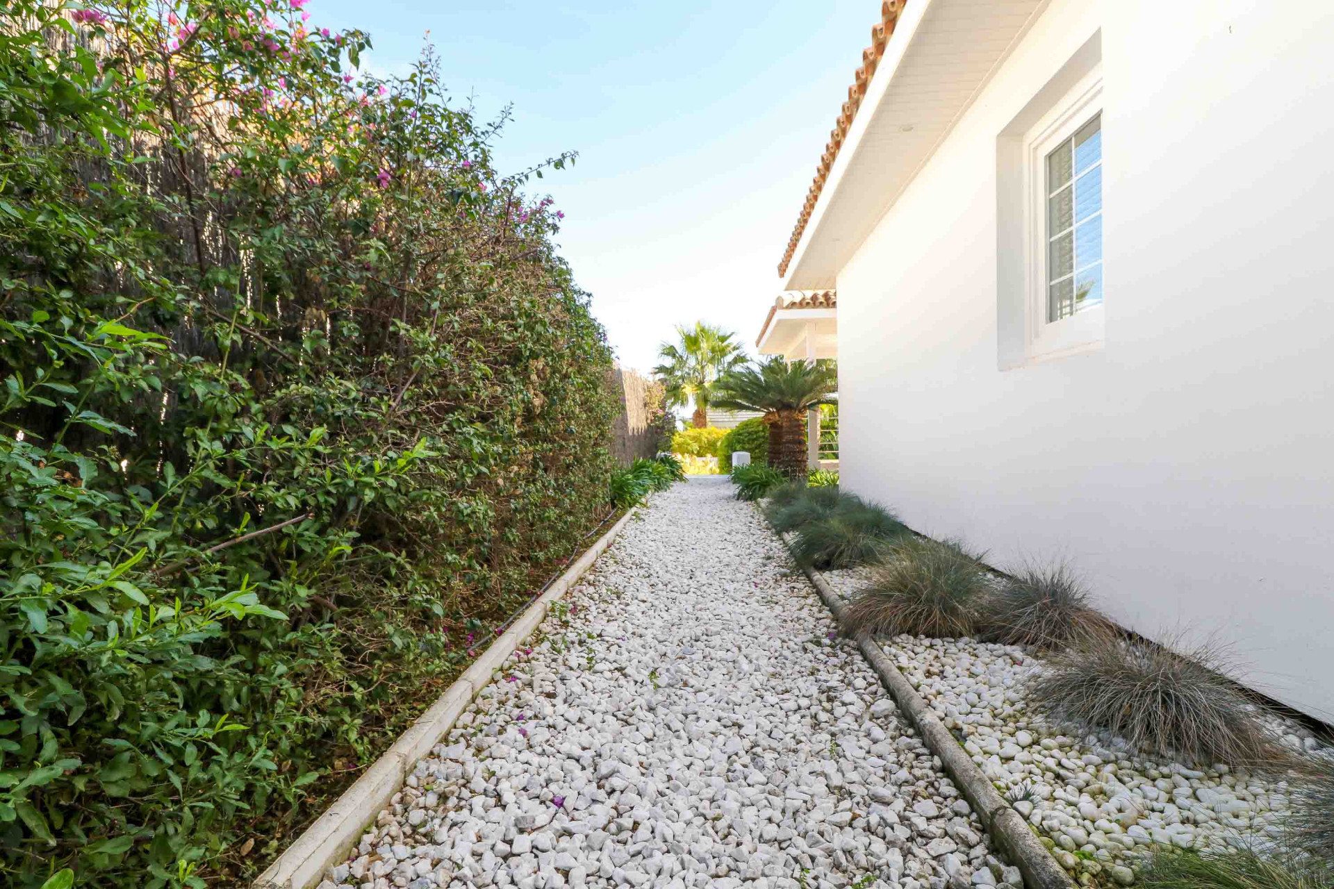 Gravel path lined by a tall green hedge on one side and a white villa wall on the other.