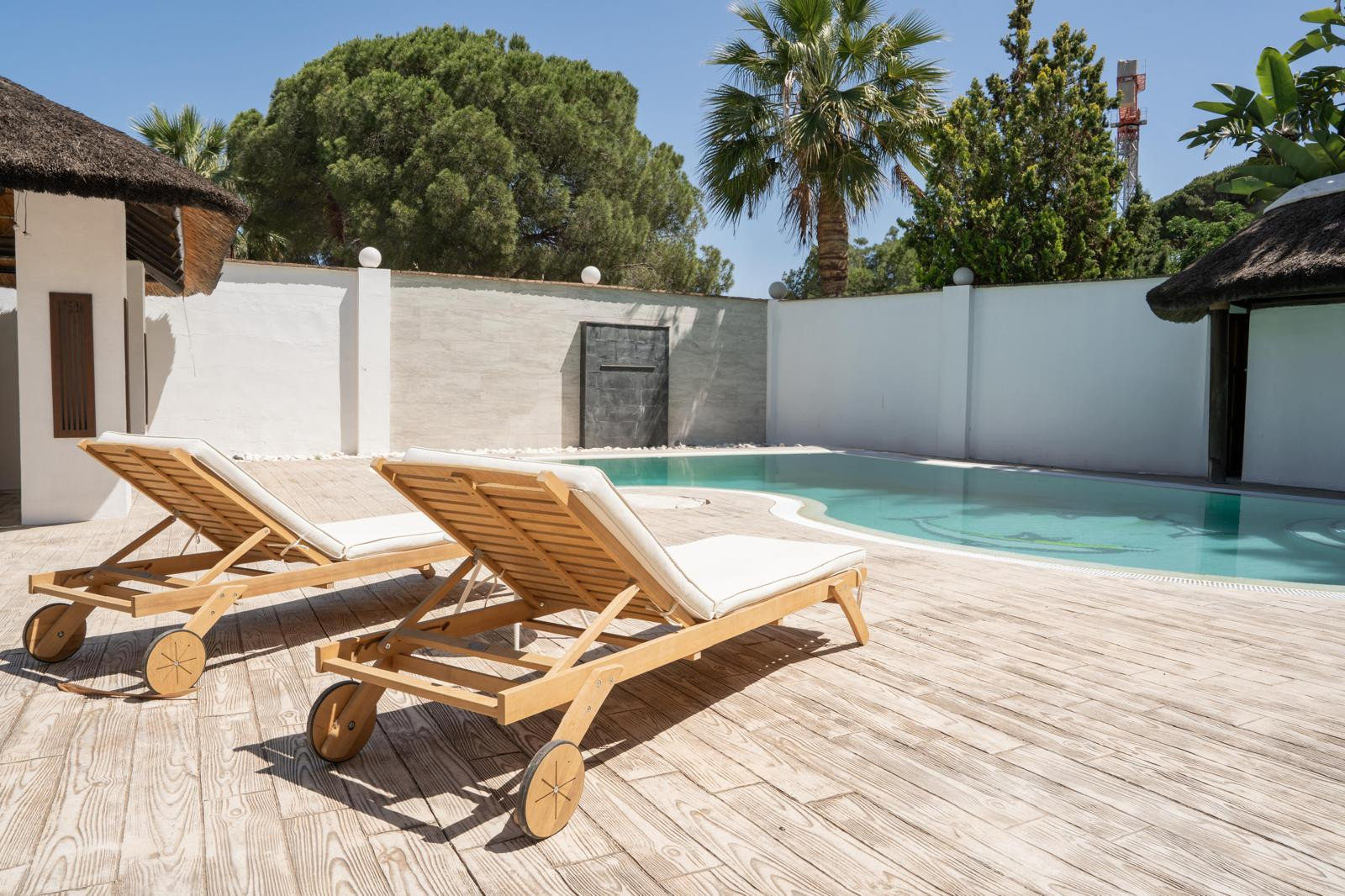 Perspective of sun loungers near the pool with palm trees in background.