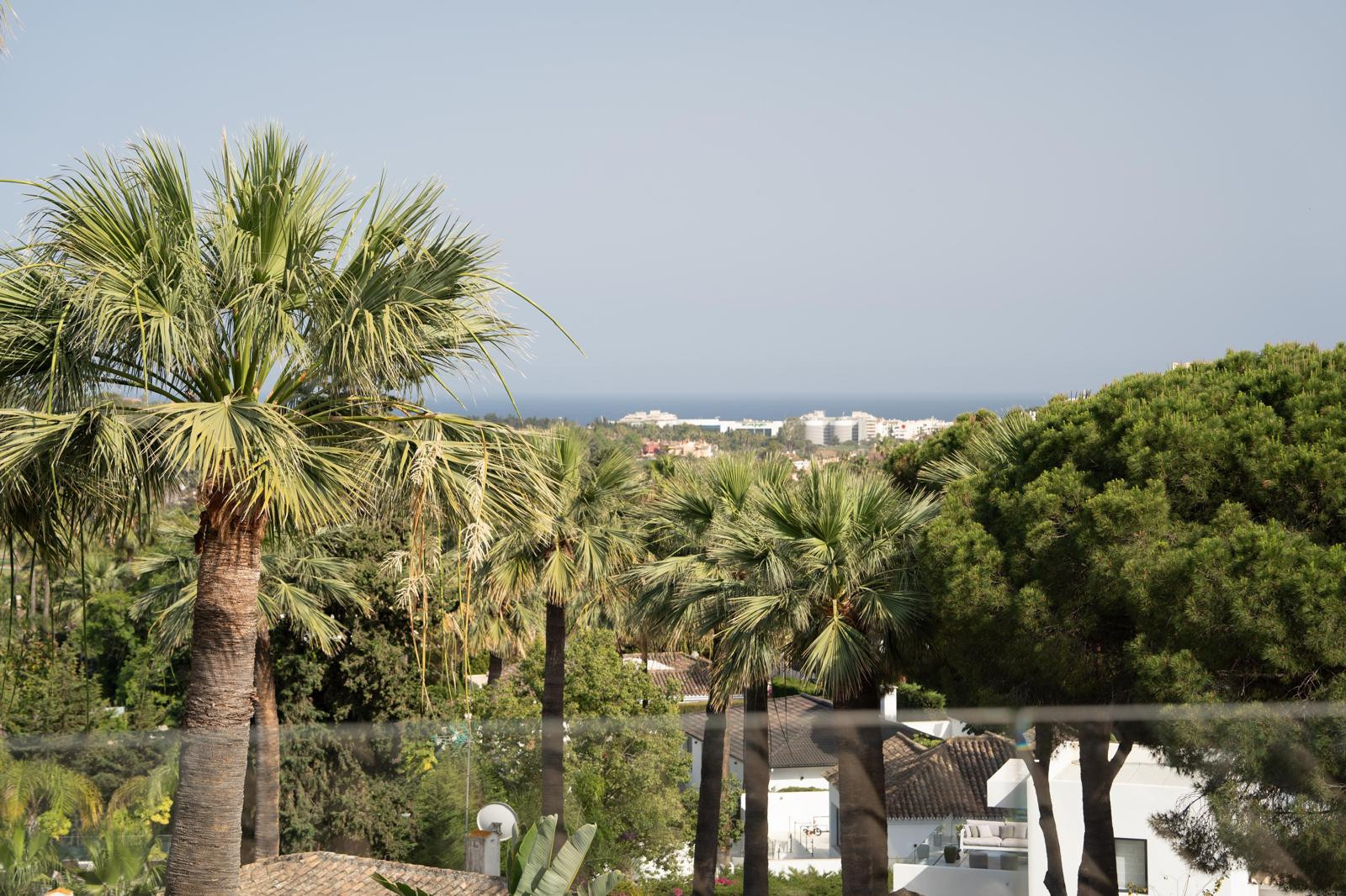 View of palm trees with the coastline in the distance.