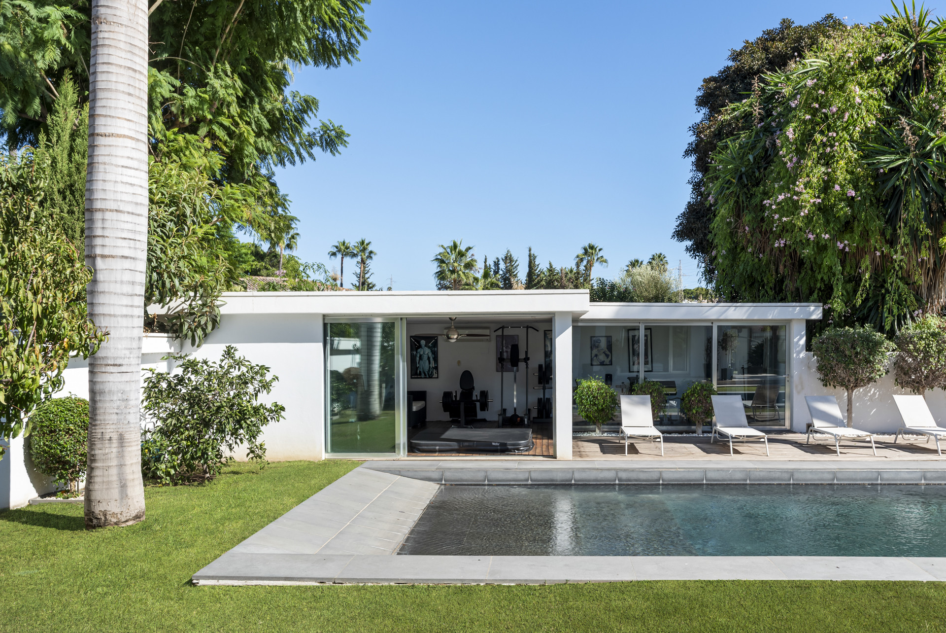 Frontal view of the pool house and swimming pool, surrounded by green lawn and tropical trees.