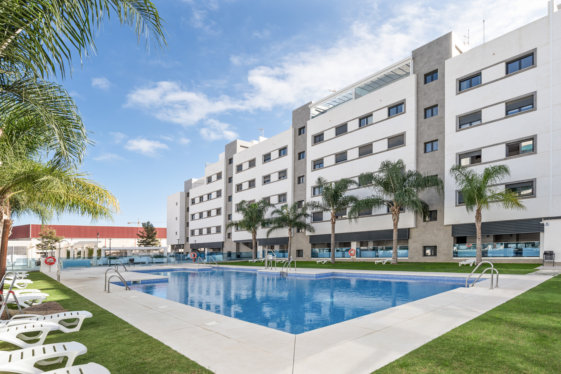 Exterior view of a long swimming pool bordered by lounge chairs and palm trees, with a multi-story building.