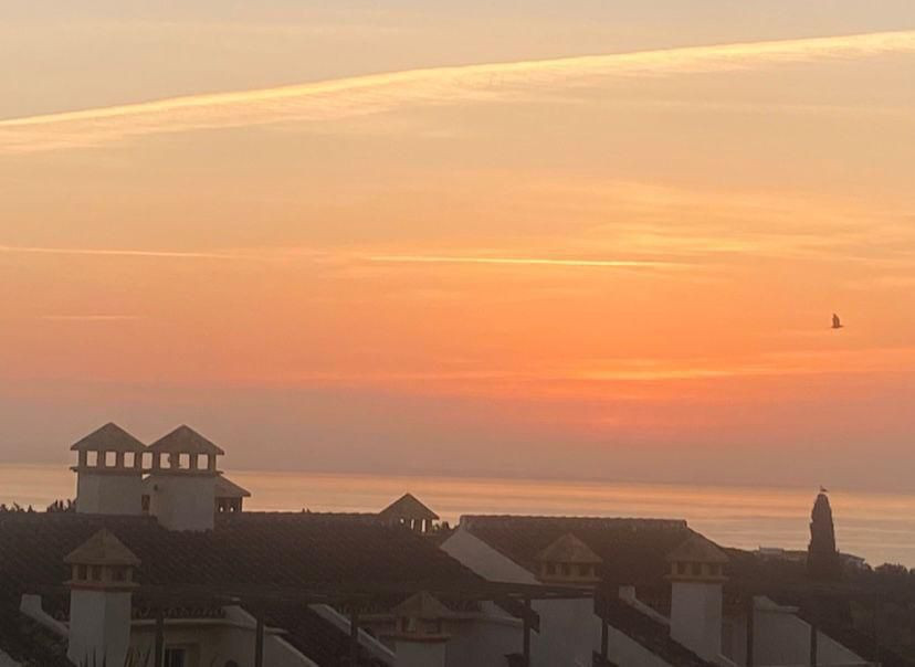 Sunset over the ocean, with a golden and orange sky above residential rooftops and chimneys.