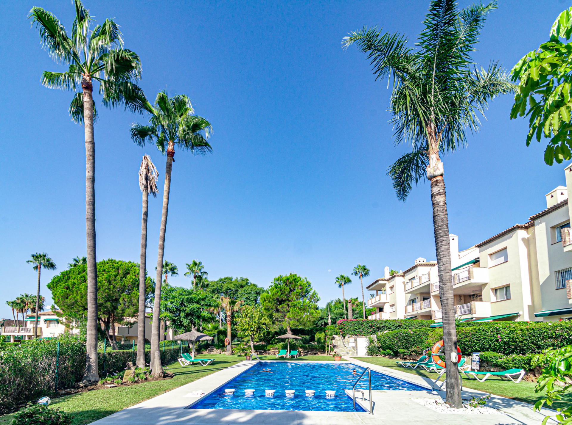 Community pool area with tall palm trees, apartment buildings, and sun loungers under blue sky.