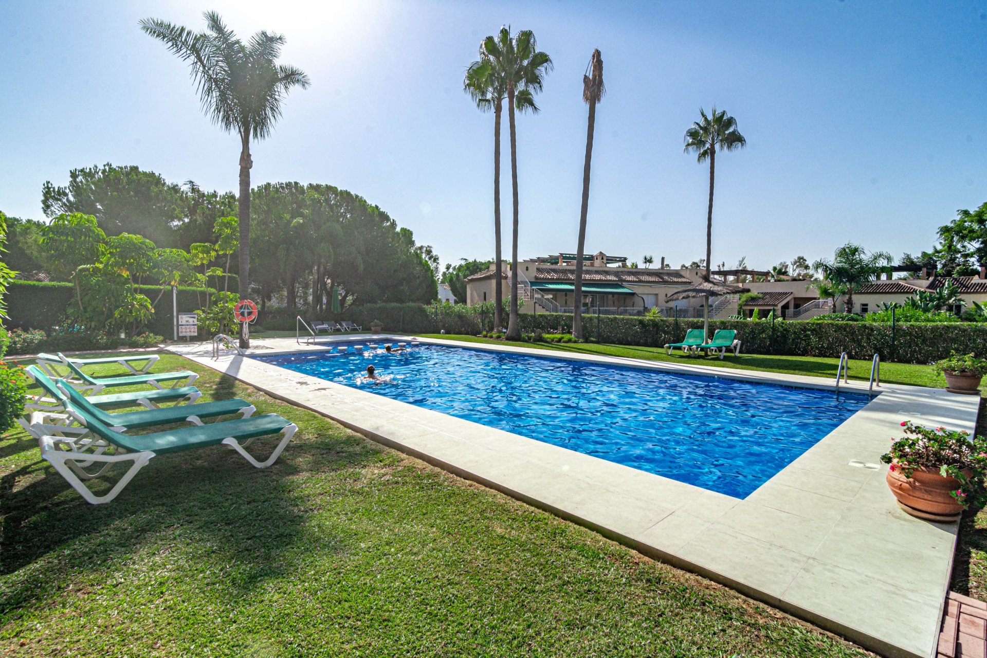 Wide shot of a swimming pool with a few people, sun loungers, and palm trees under bright sun.