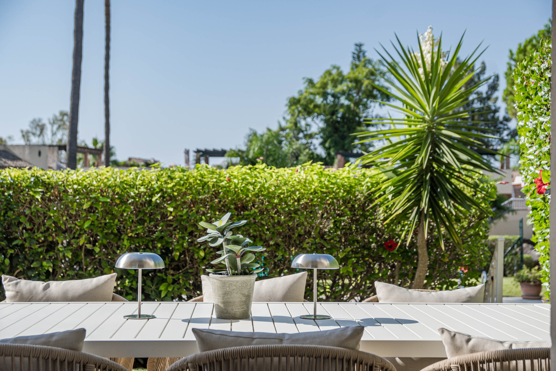 Outdoor dining table with plant and two lamps, hedgerow and trees in background.