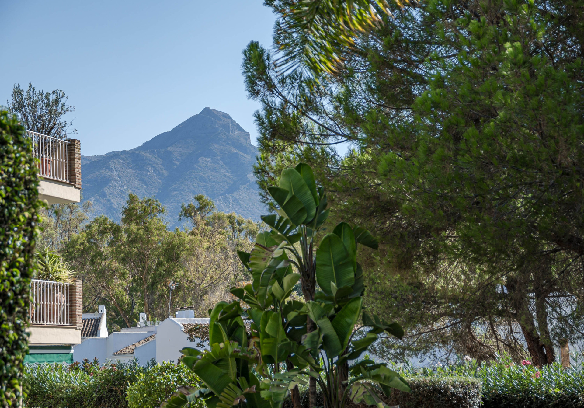 Mountain view beyond green trees and residential buildings, under a clear blue sky.