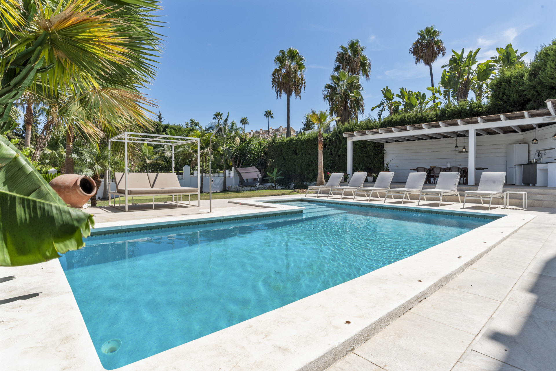 The swimming pool and patio with sun loungers, facing the outdoor dining area and a large garden with palm trees.