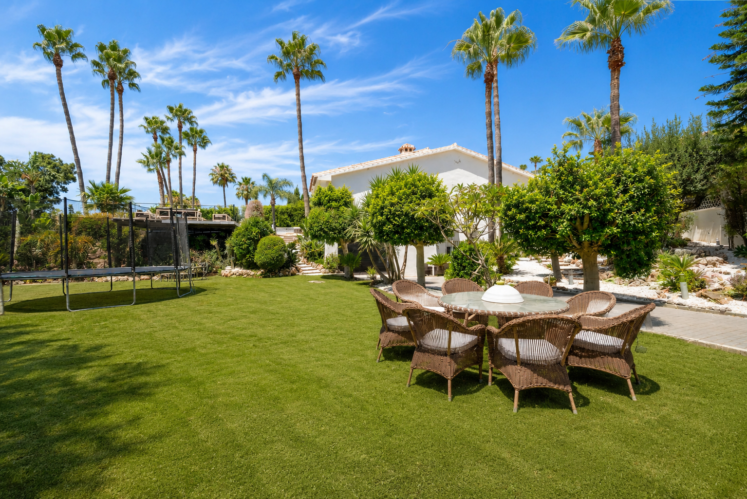Spacious garden area with palm trees and outdoor seating around a round table on a green lawn.