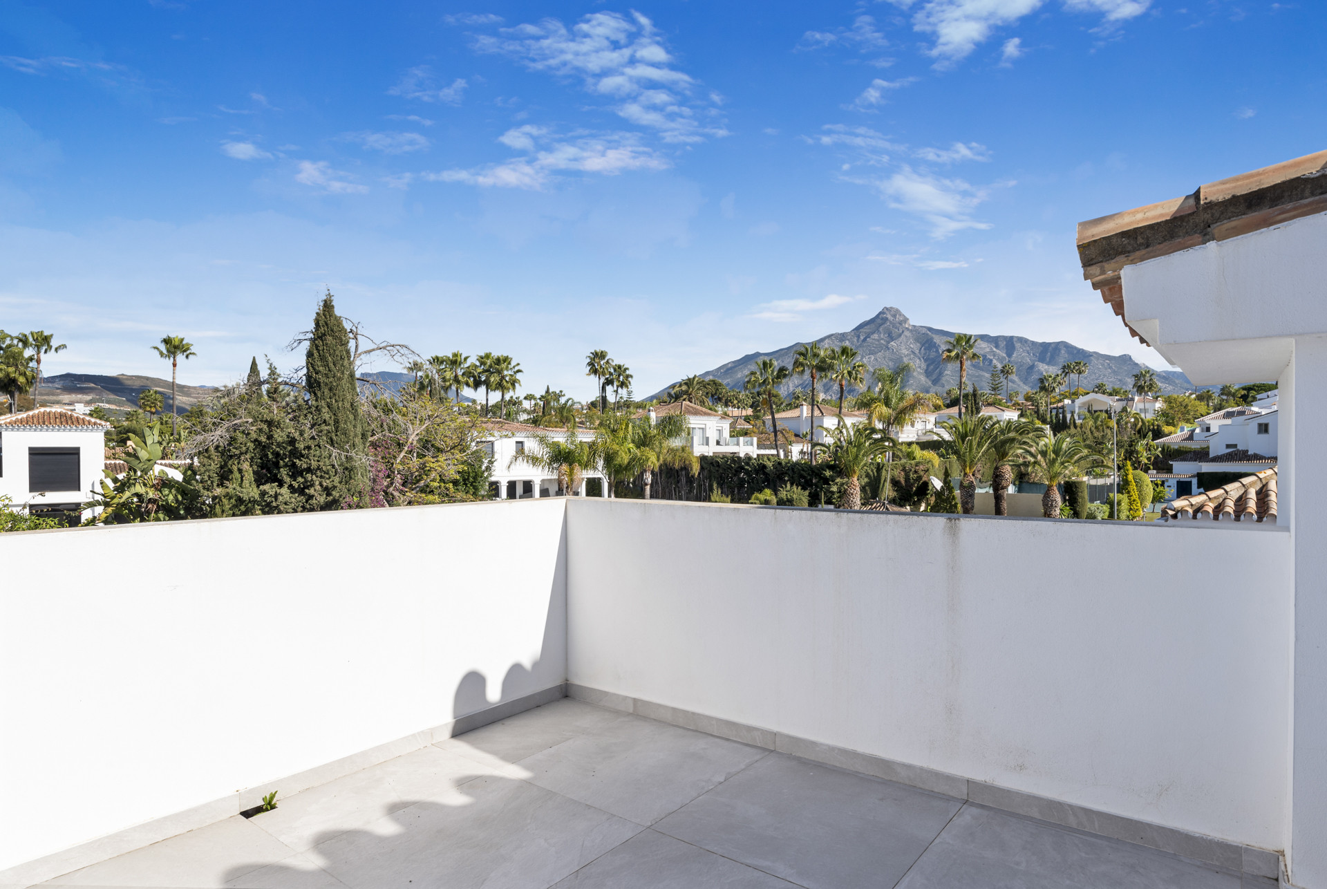View from the terrace showcasing palm trees, neighboring homes, and a mountain backdrop under a clear blue sky.
