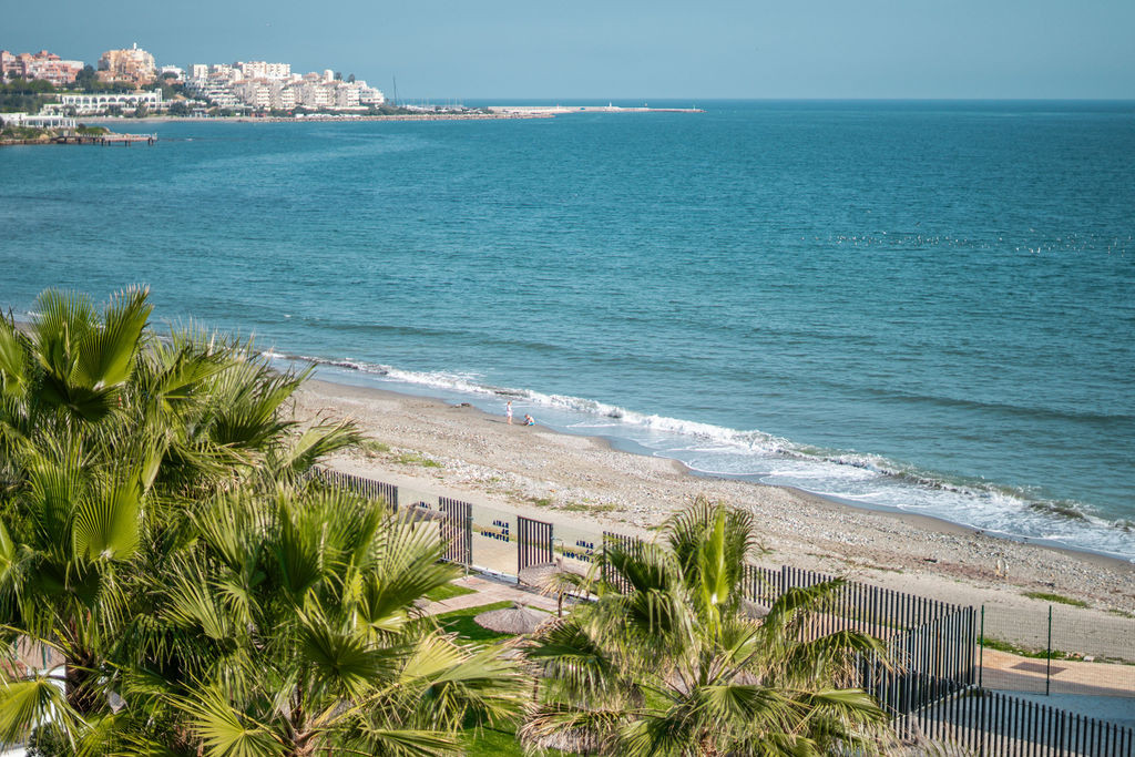 View of a beach and ocean with palm trees in the foreground and a distant town along the coast.