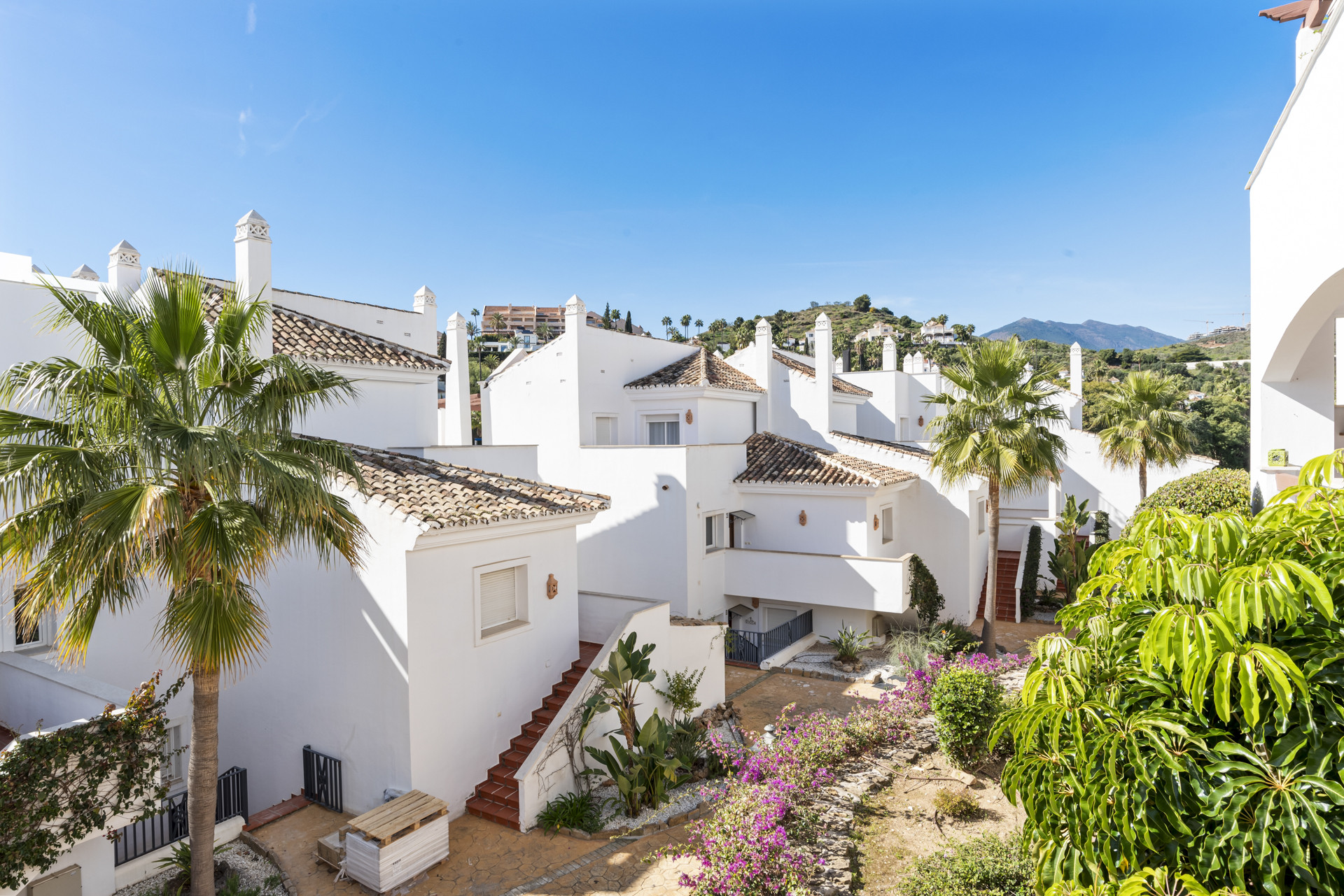Scenic view of white buildings with terracotta roofs, palm trees, and mountain backdrop.