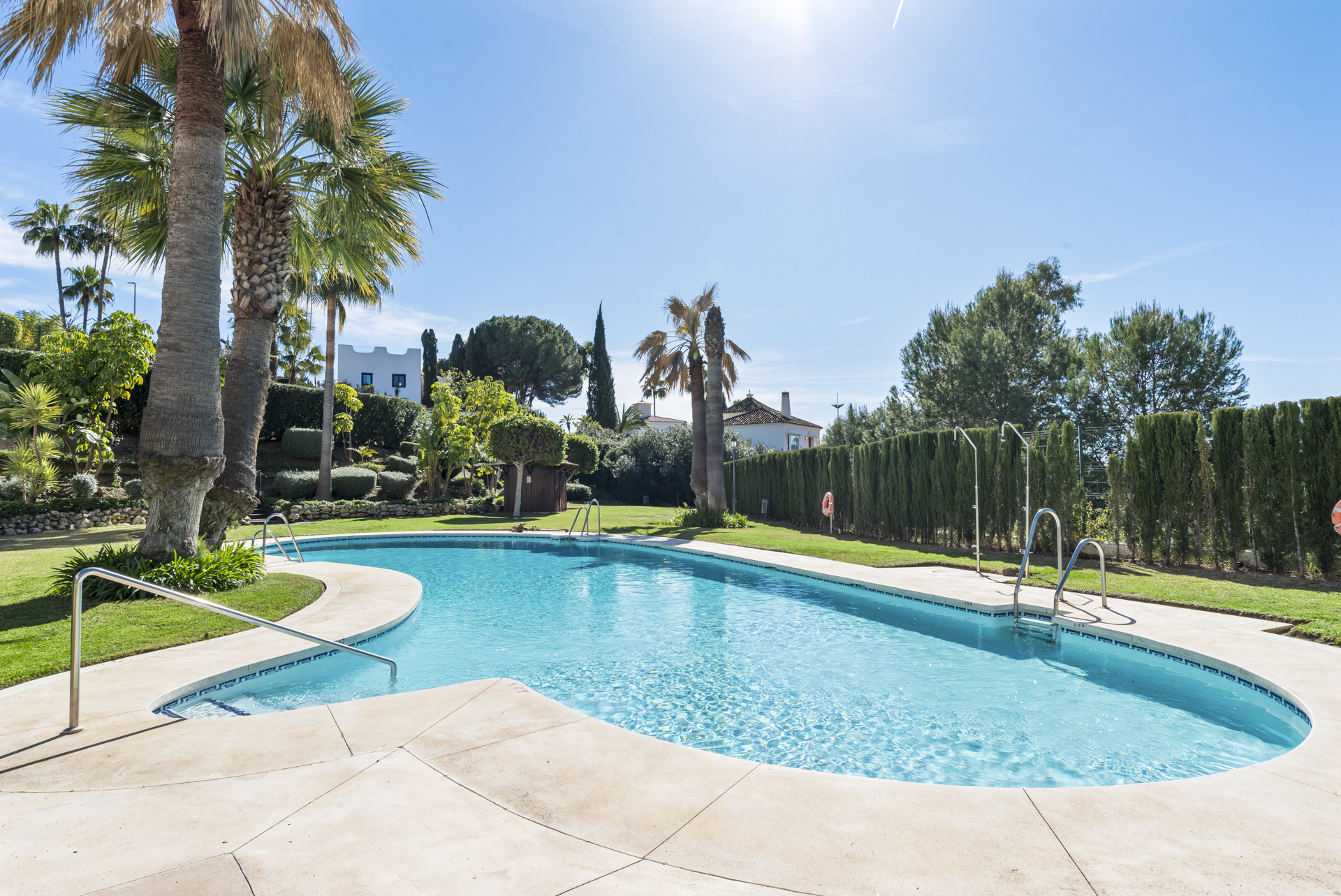 Swimming pool with palm trees, lush landscaping, and a clear blue sky overhead.