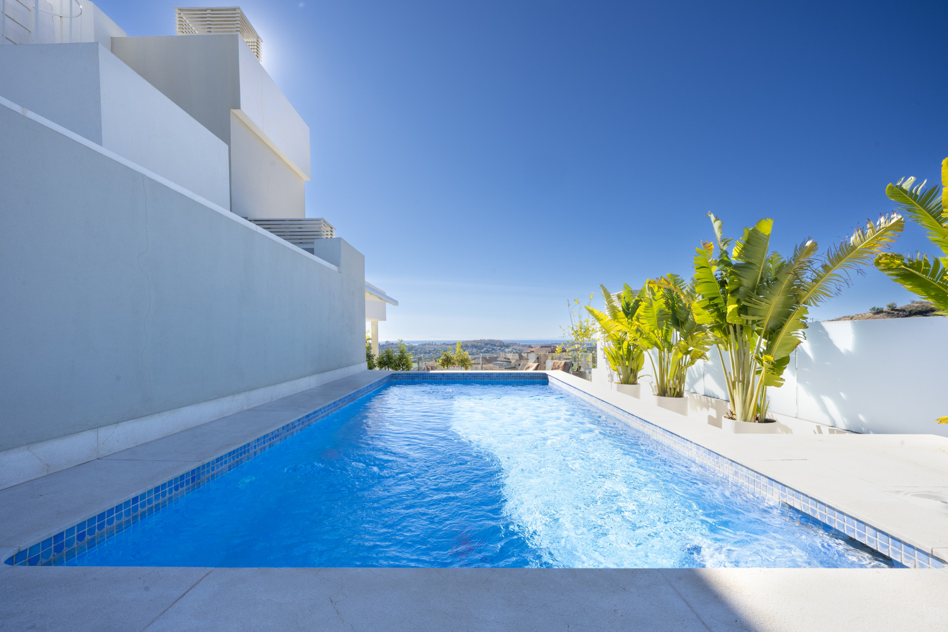 A clear view of the swimming pool with plants lining the edge.
