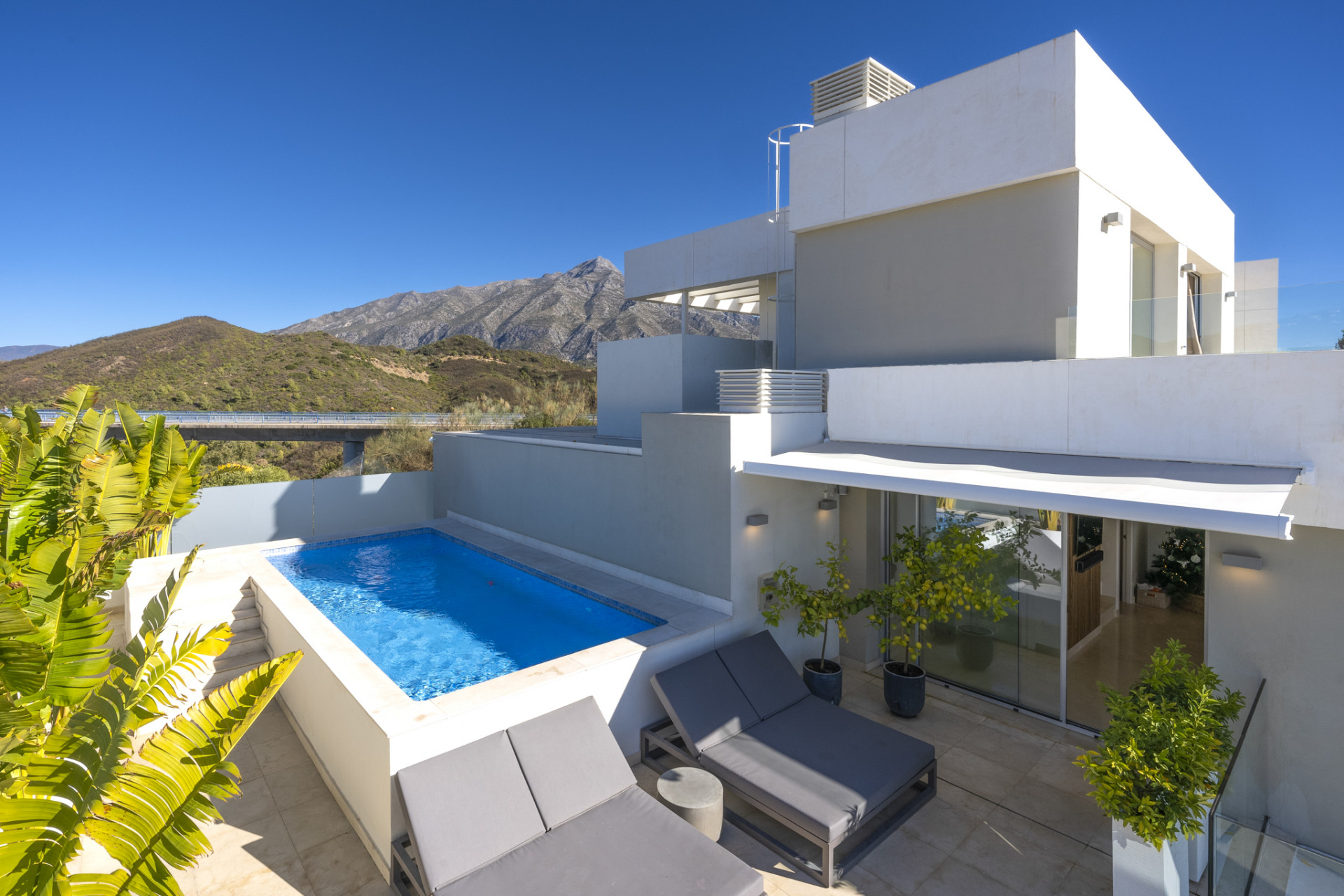 Private terrace with a small pool, sun loungers, and surrounding greenery.