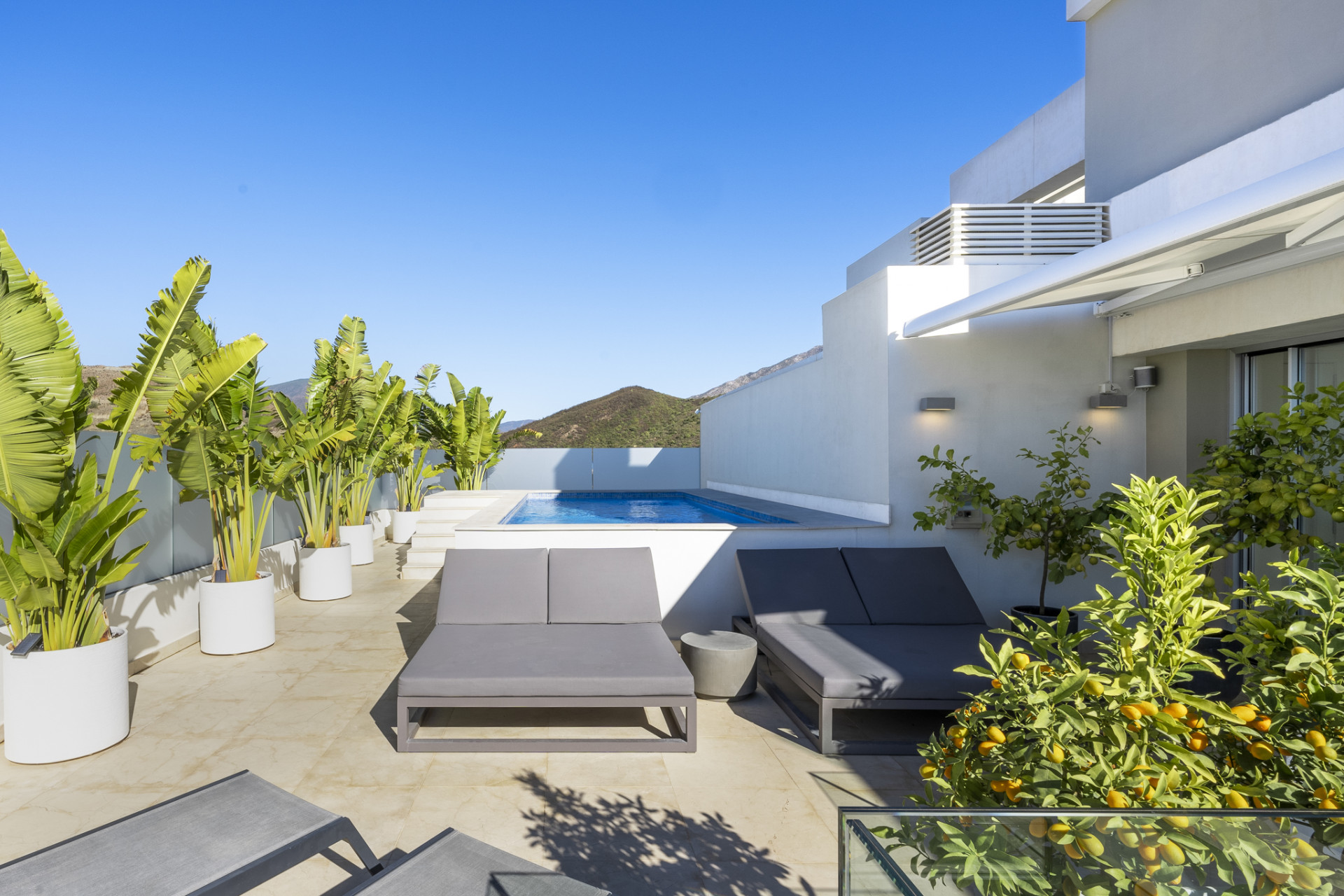 Rooftop terrace featuring a small swimming pool, modern sun loungers, potted plants, and clear blue sky.