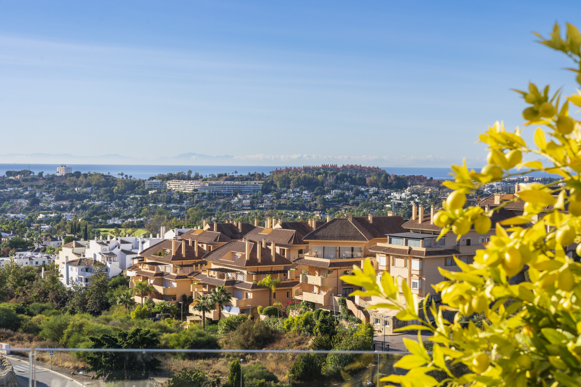 Scenic view capturing multiple buildings with ocean in the background and yellow foliage in focus.