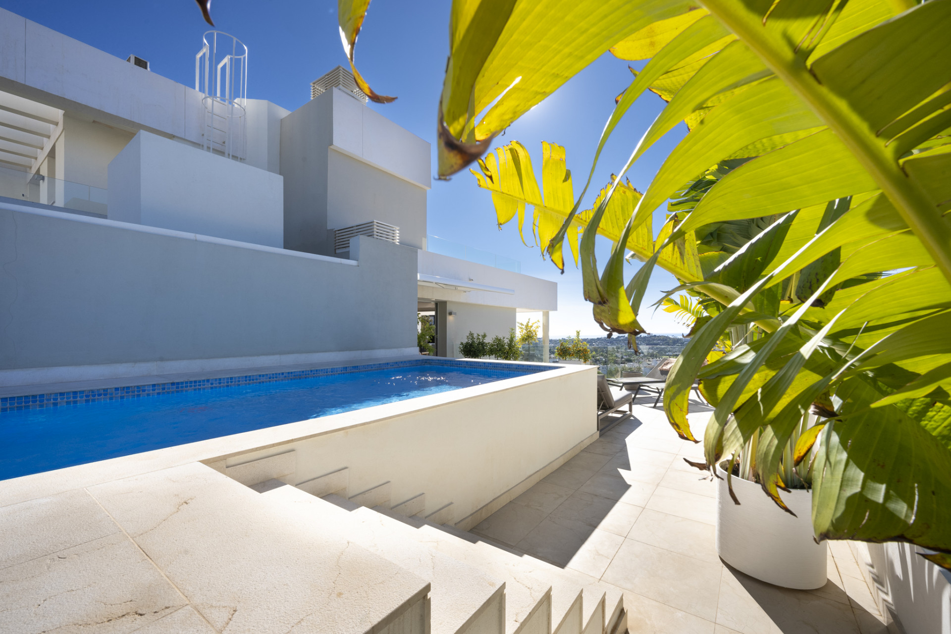 View of the private pool surrounded by palm trees and steps leading down from the terrace.