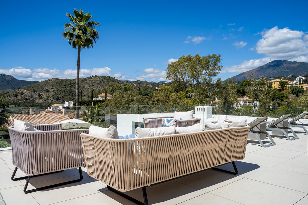 Rooftop terrace with outdoor sofas, lounge chairs, a palm tree, and expansive mountain views under blue sky.