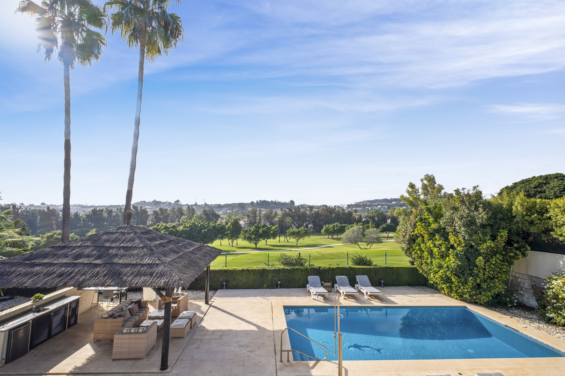 Pool area with a thatched roof and sun loungers by the water.