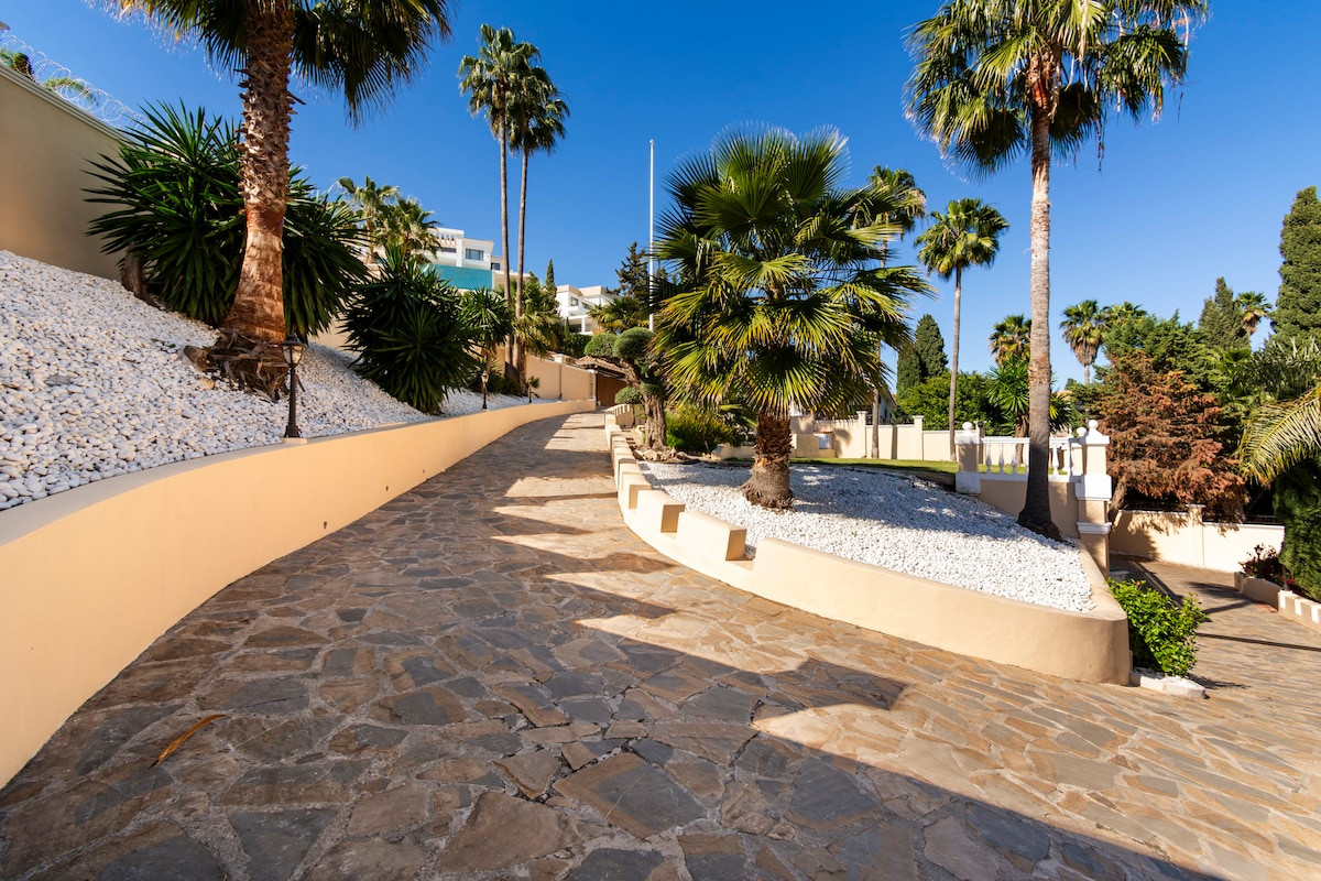 Stone pathway winding through a landscaped garden with palm trees and decorative plants.