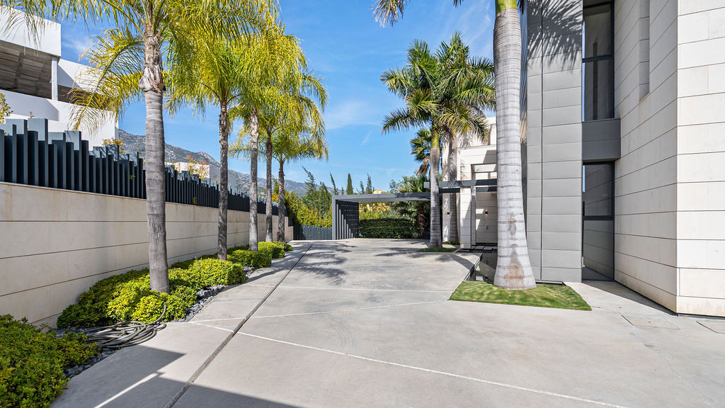 Driveway lined with palm trees and greenery, leading to modern architecture.