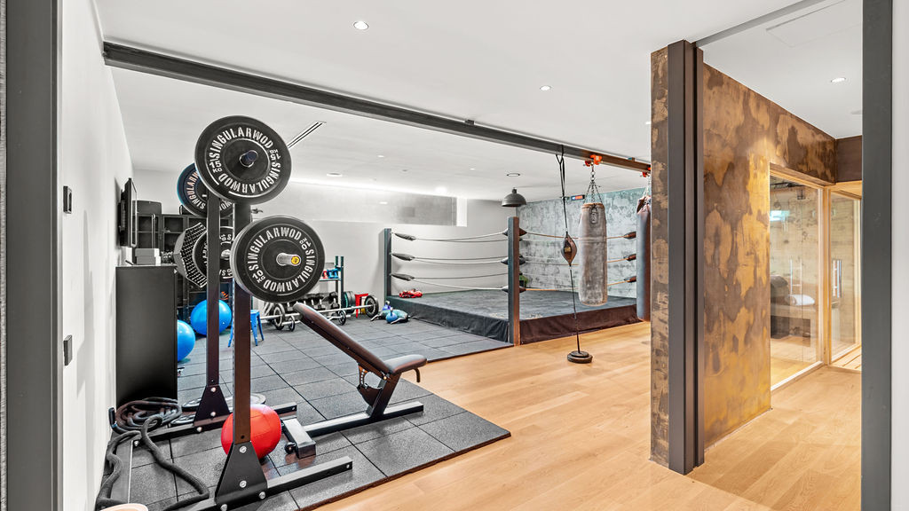Home gym with various exercise equipment, including weights, a boxing ring, and a punching bag.