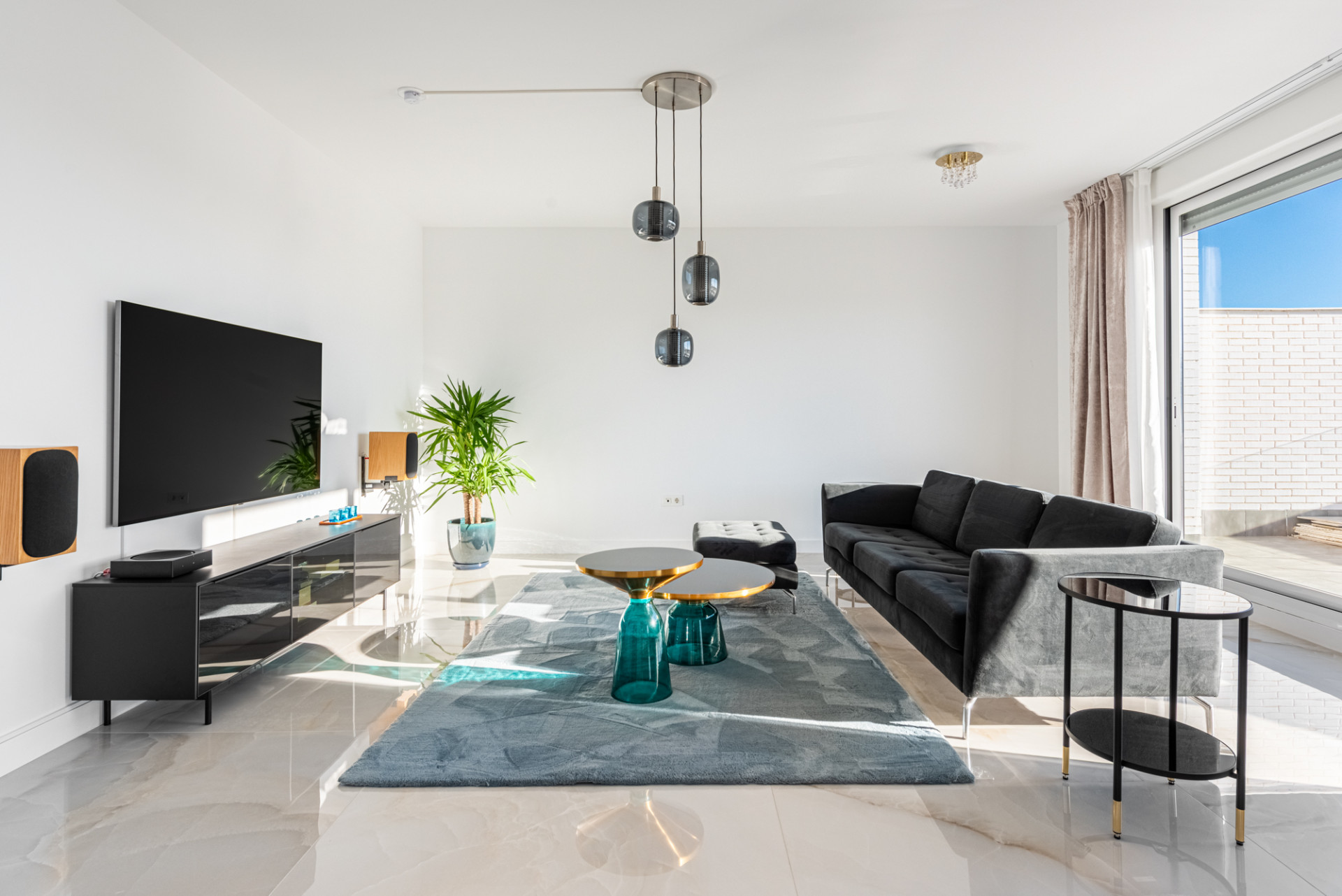 Living room with large TV, entertainment console, dark sofa, and teal rug under a plant.