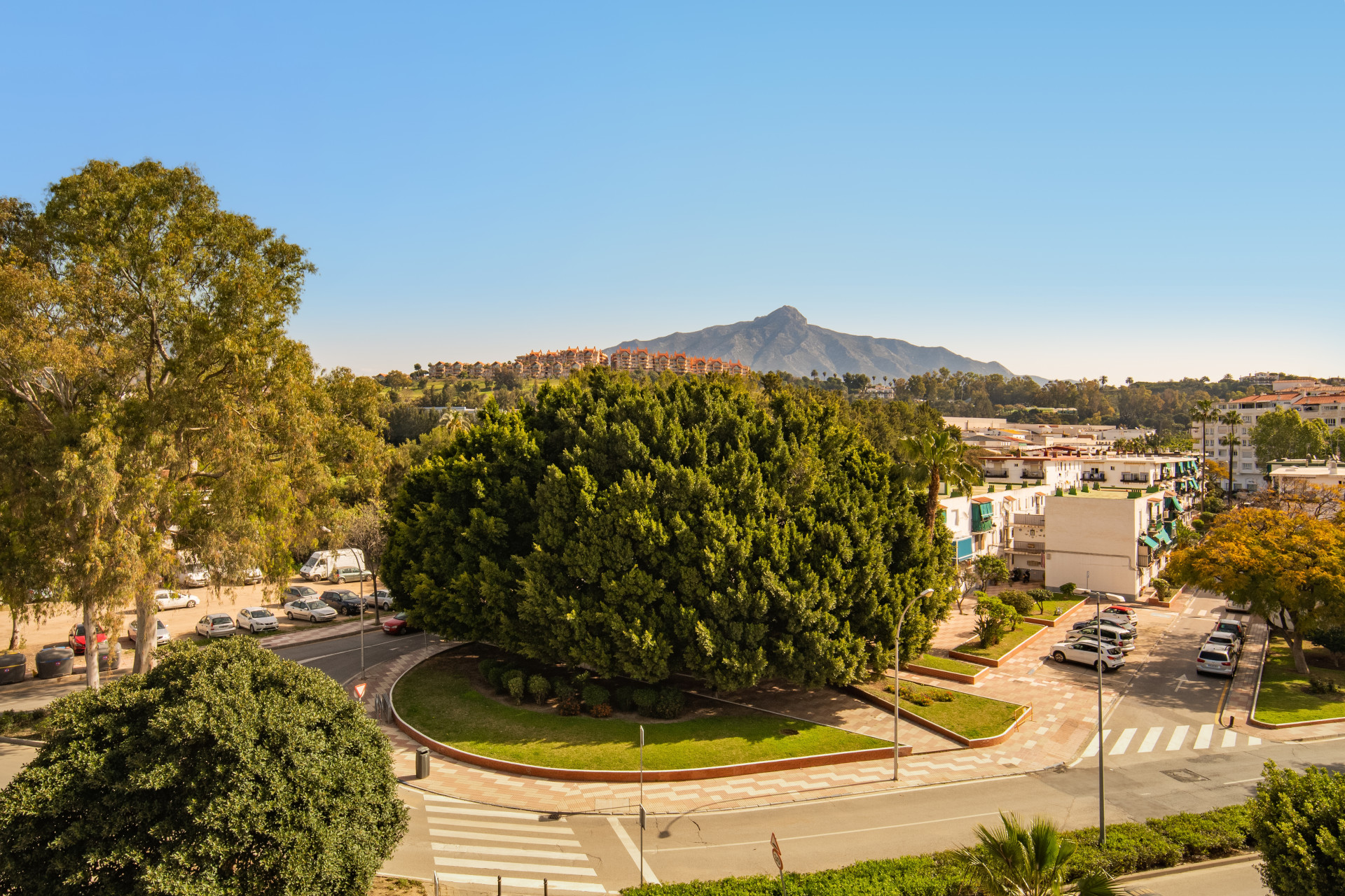 View of a residential area with trees and a mountain backdrop under a clear blue sky.