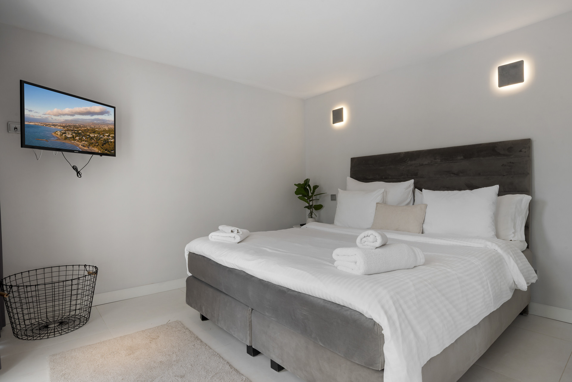 Cozy bedroom featuring a large bed, TV, and decorative plants.