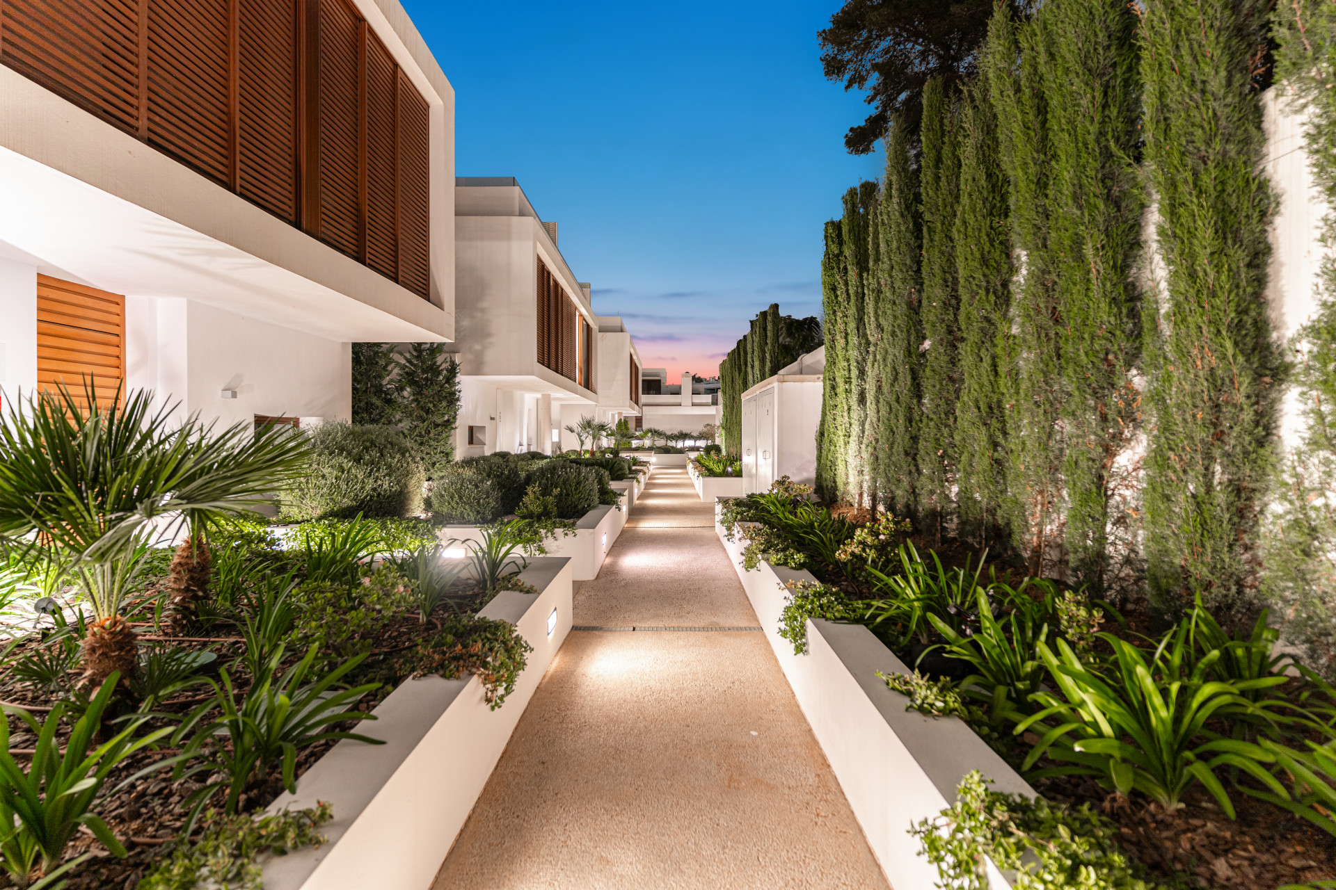 Illuminated walkway lined with shrubs and modern architecture.