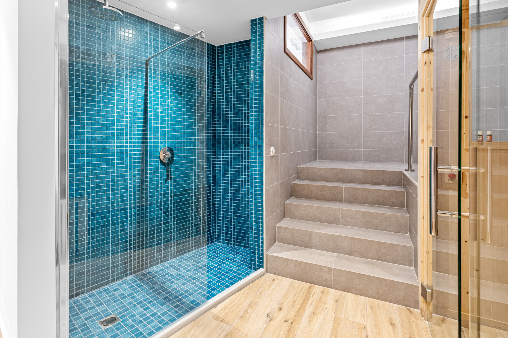 Shower area with glass enclosure featuring blue mosaic tiles next to wooden steps leading up.