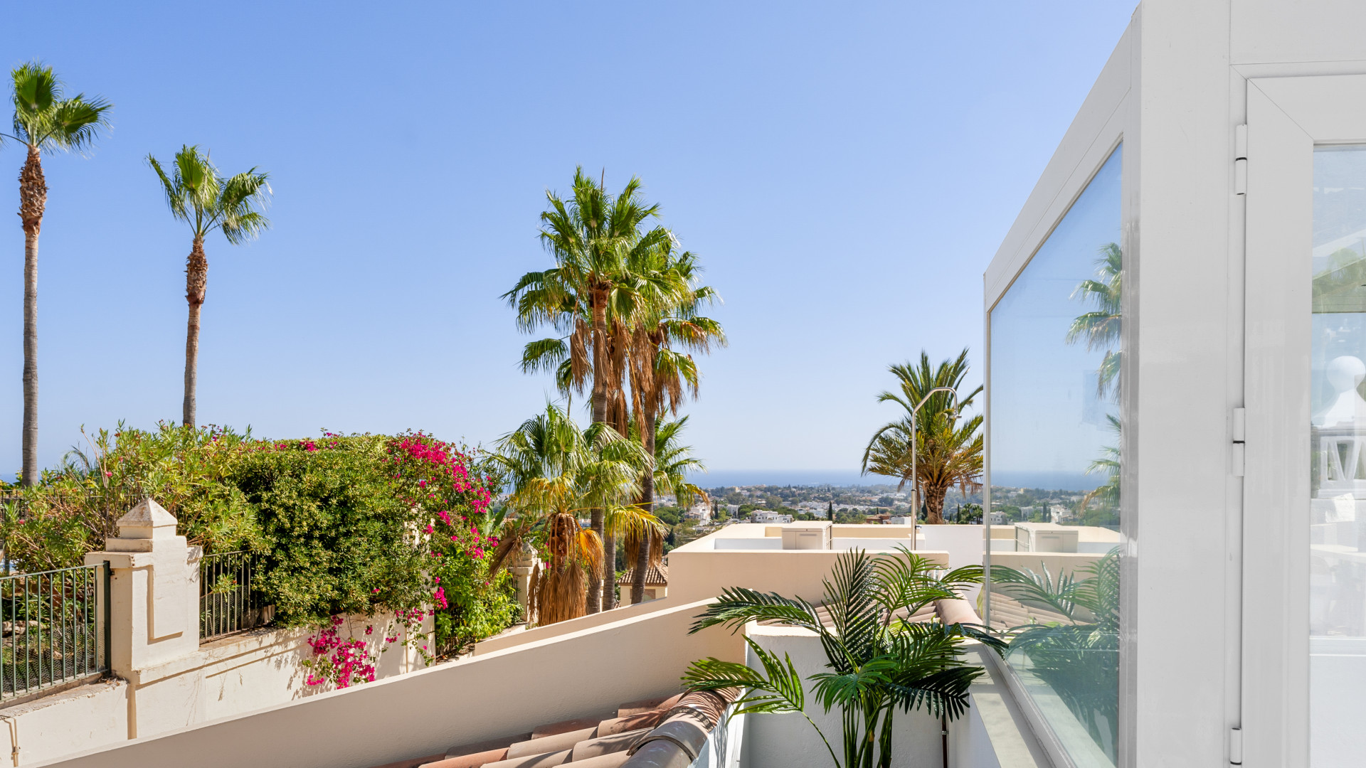 A view from the terrace showcasing palm trees and distant sea views under a clear blue sky.