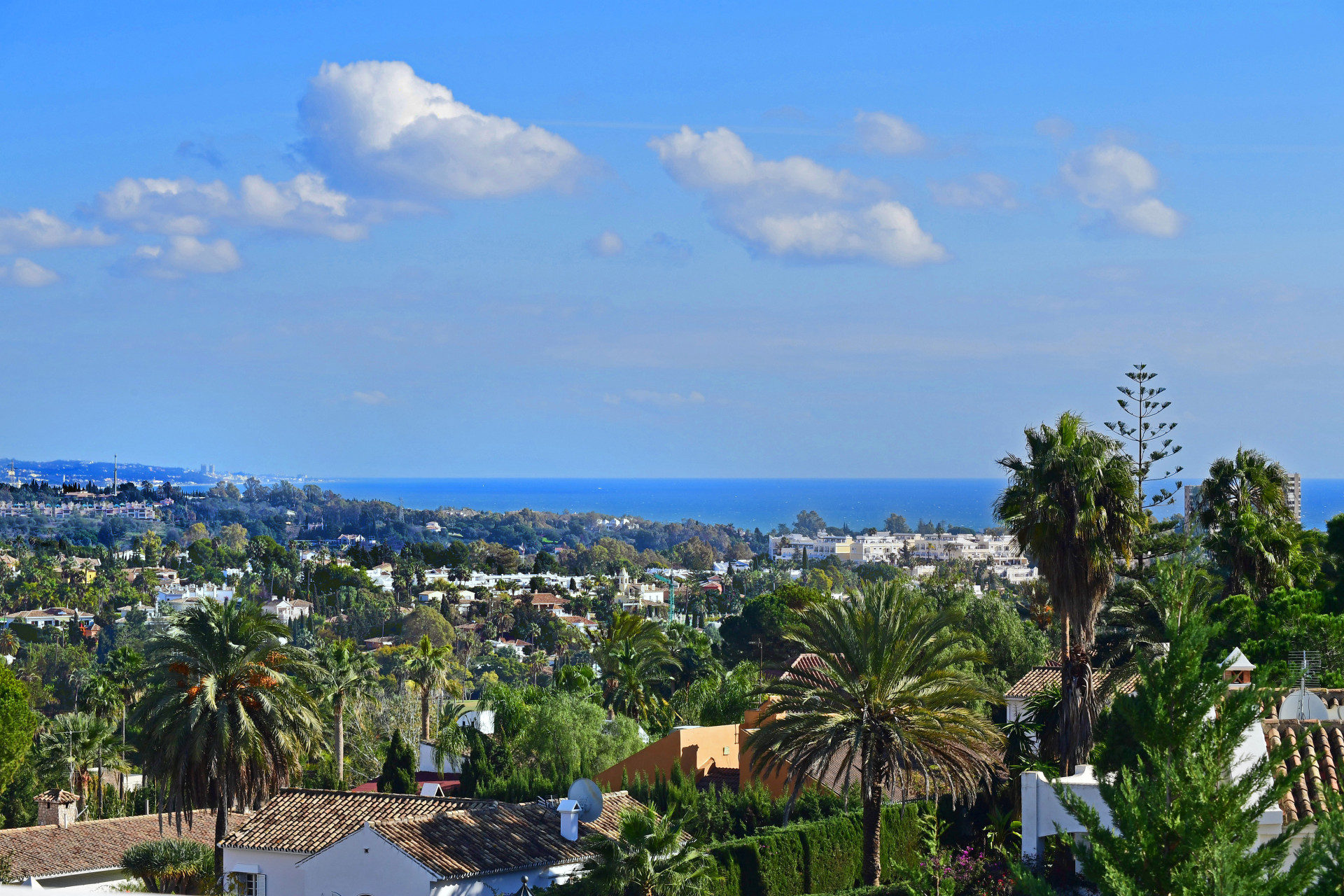 View of palm trees and ocean in the distance under a clear blue sky.