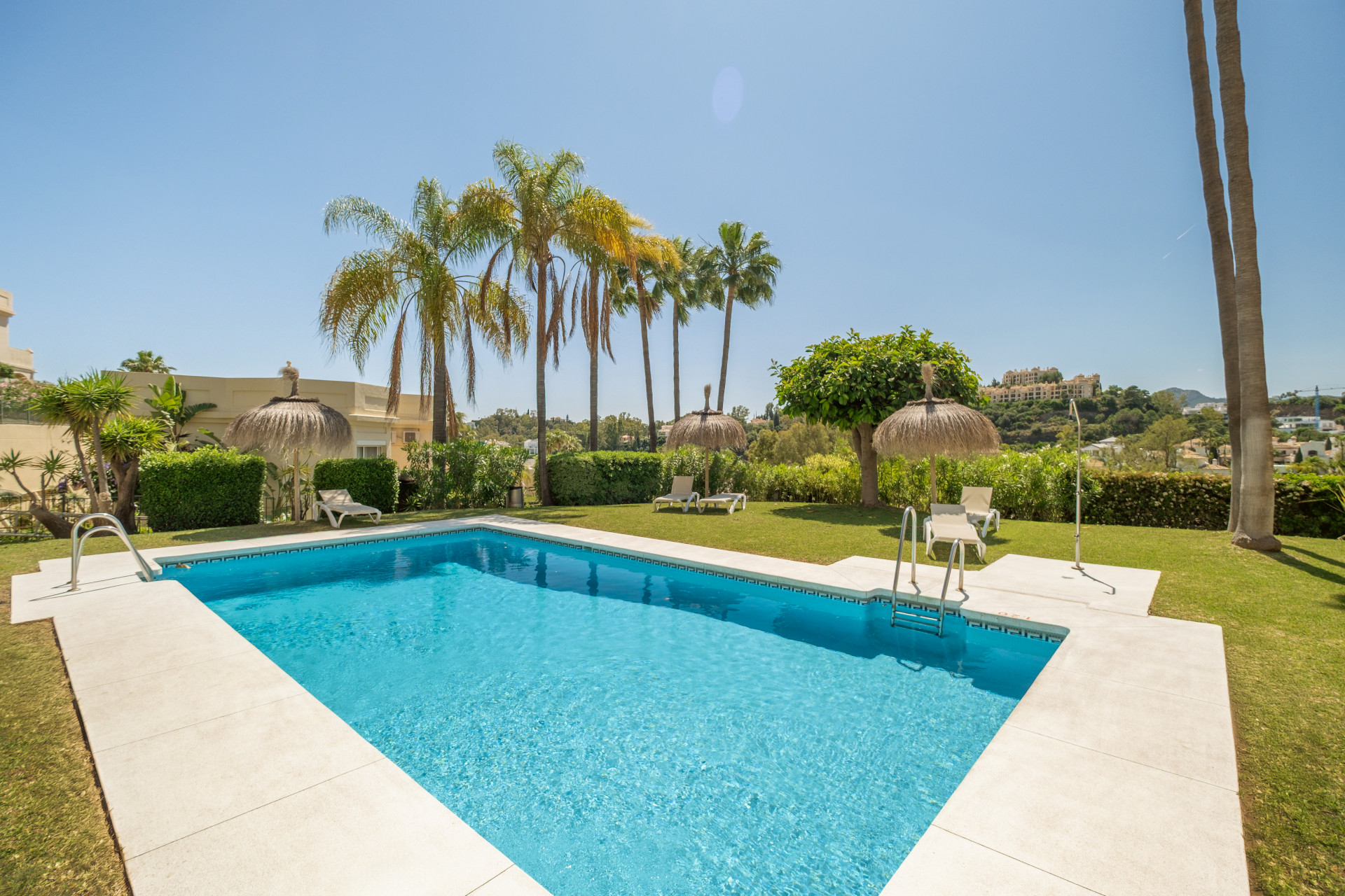 Swimming pool surrounded by greenery and palm trees with loungers nearby on a sunny day.