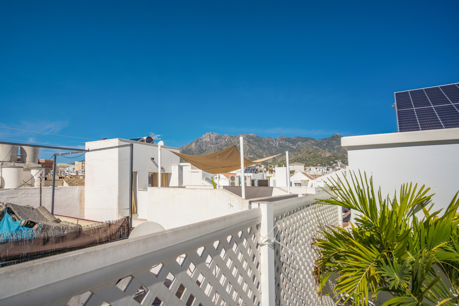 Unifamiliar única en el corazón de la ciudad vieja de Marbella — foto 26