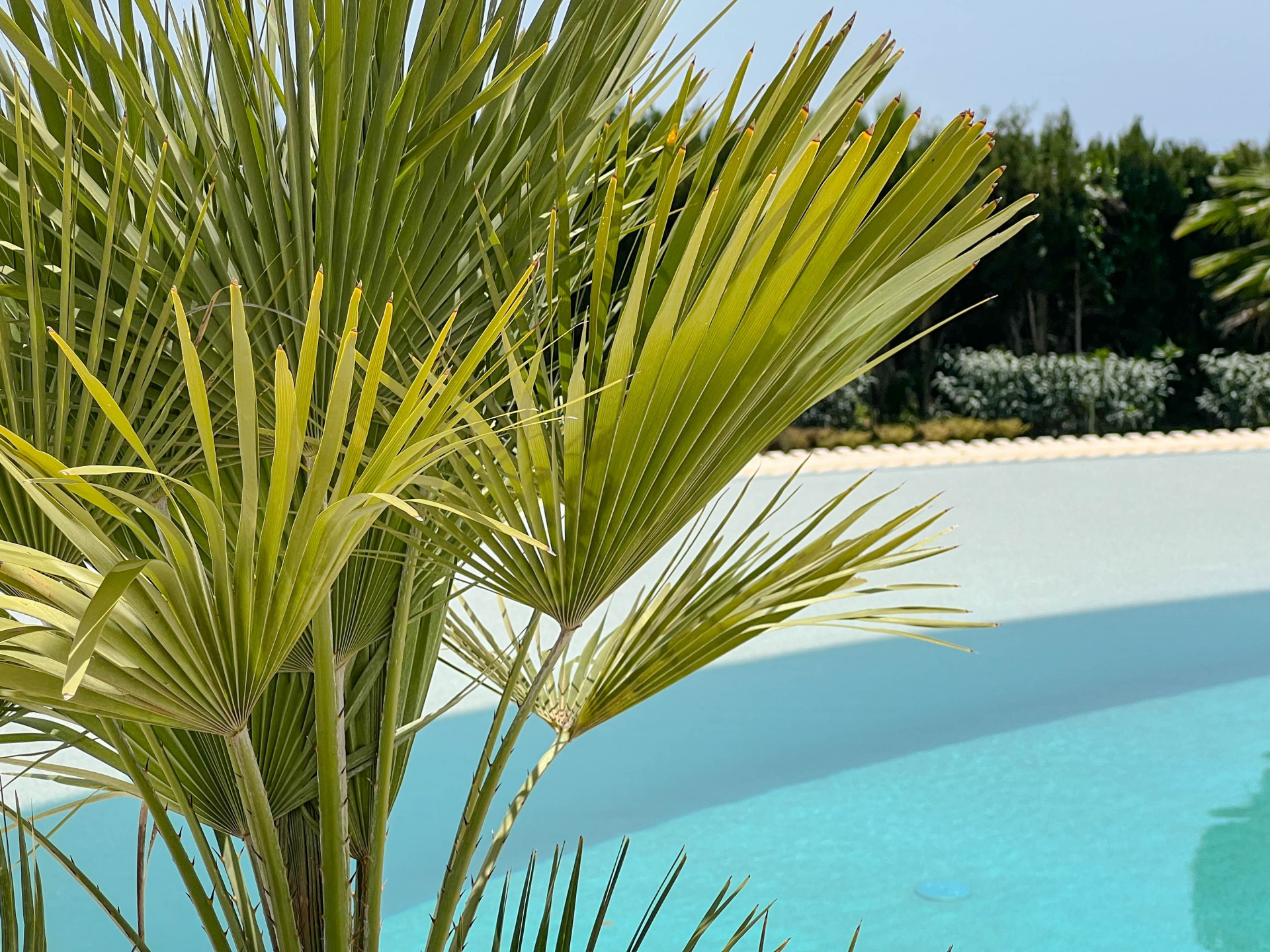 Fantástica villa moderna con increíbles vistas panorámicas al mar — foto 43