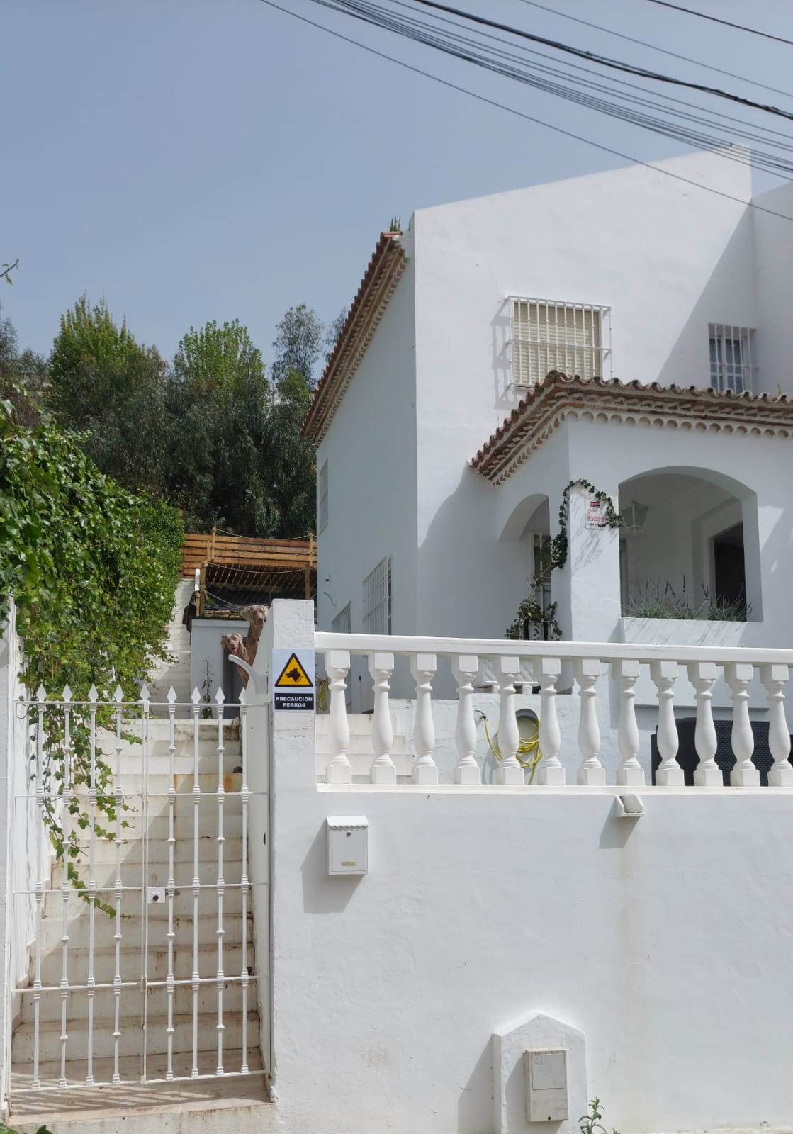 <b>Casa</b> con vistas panorámicas en <b>Villamartin</b> - 2