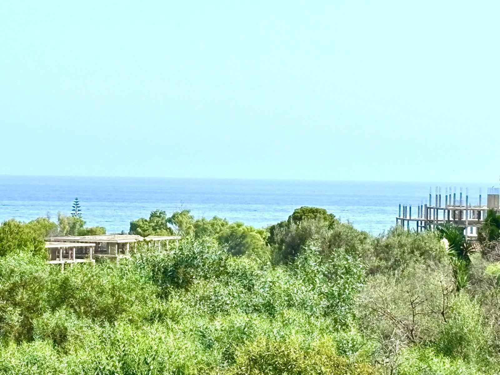 KSSIR-27956P_24484081.jpg