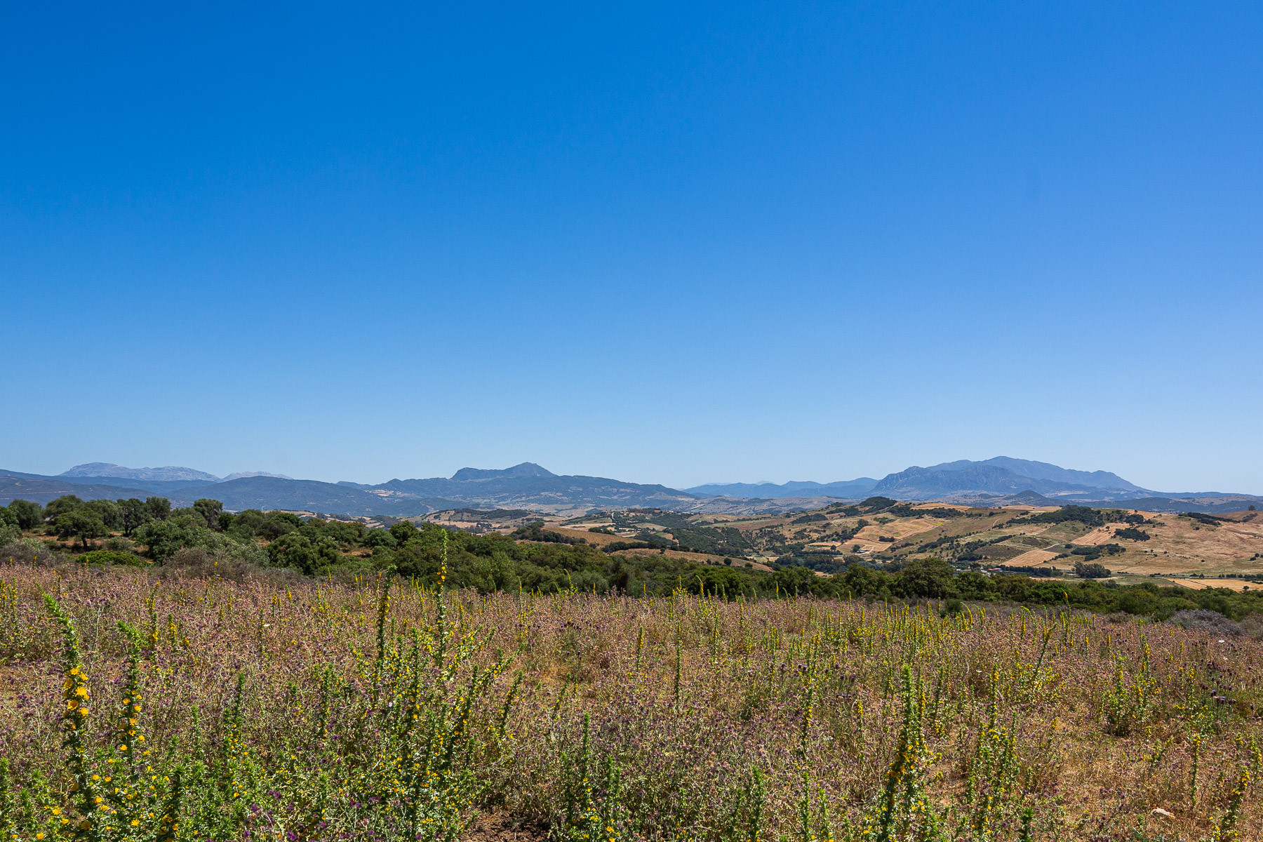 KSSIR-25412P_10912838