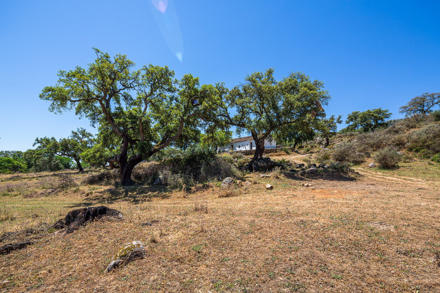 KSSIR-25412P_10912836