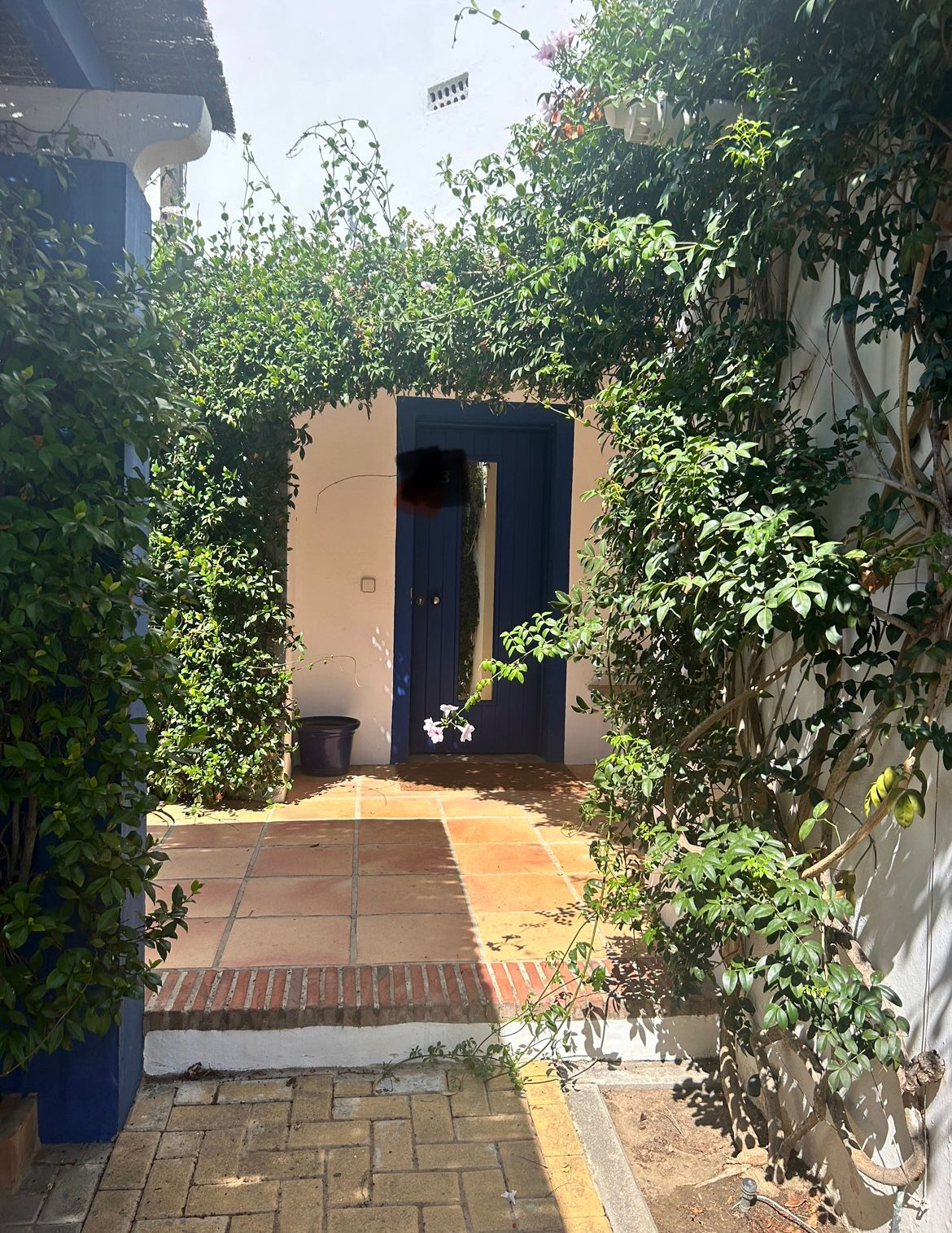 KSSIR-23996P_20629487.jpg
