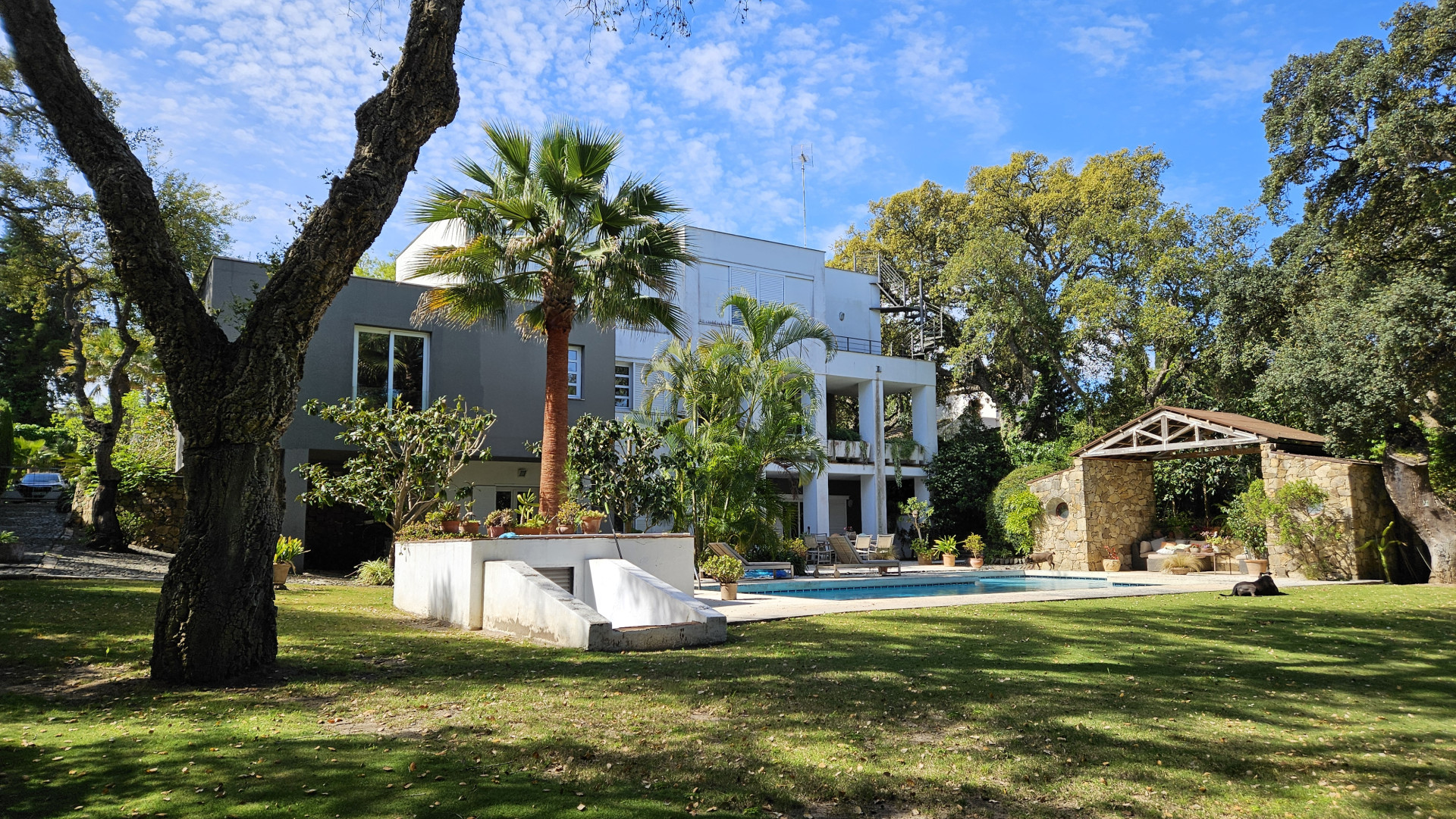 Spacious Villa in Sotogrande with Private Garden and Swimming Pool