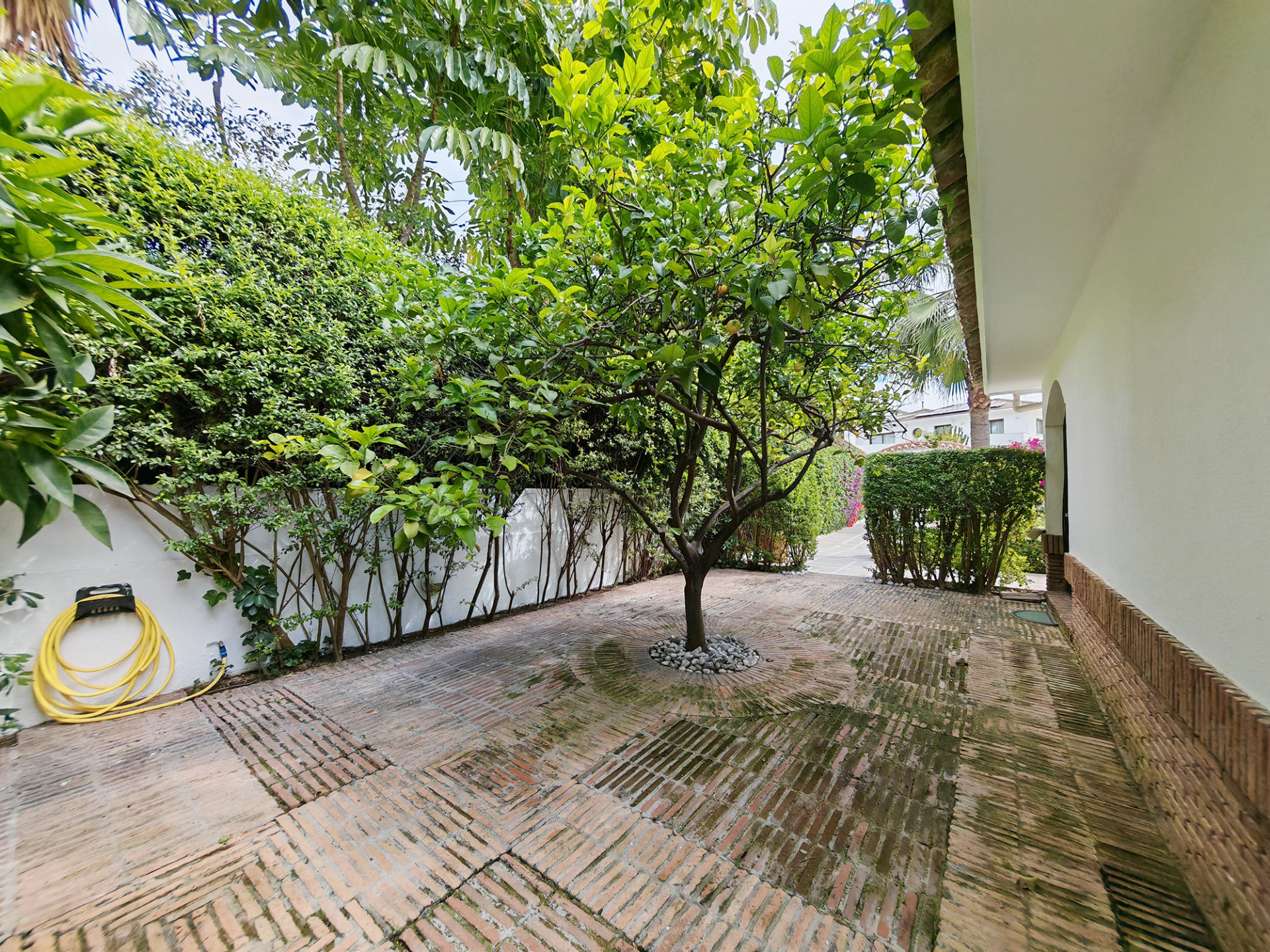 Propriedade 24