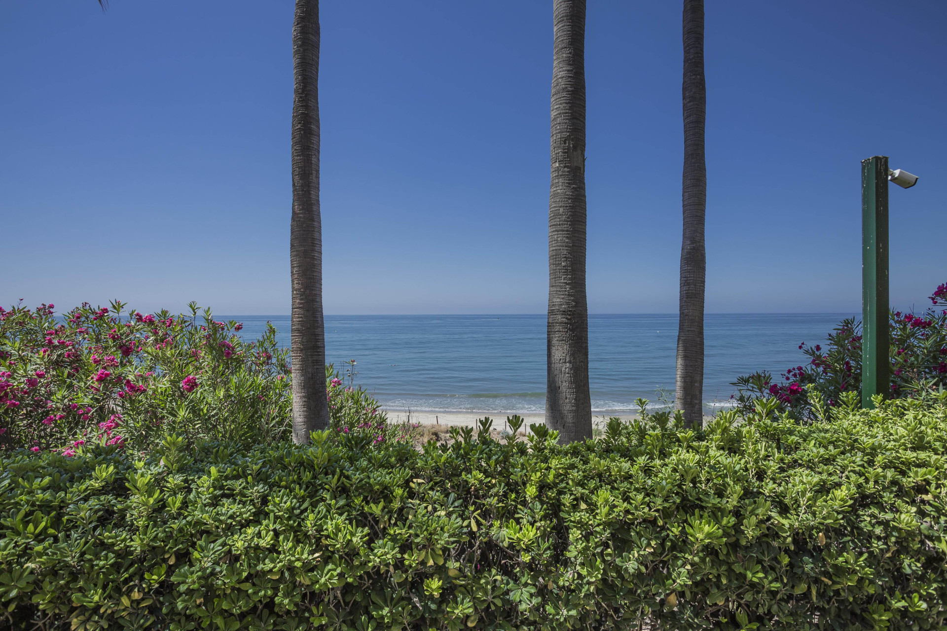 Ground Floor Apartment · Marbella Este thumbnail 4