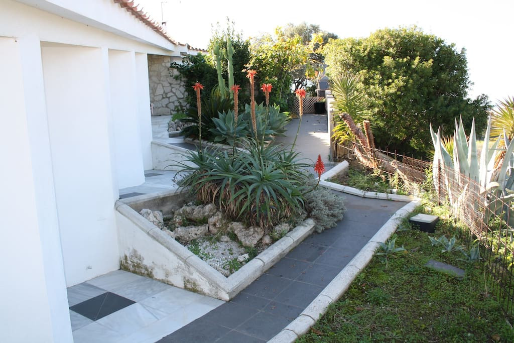 Villa de 5 dormitorios en Elviria