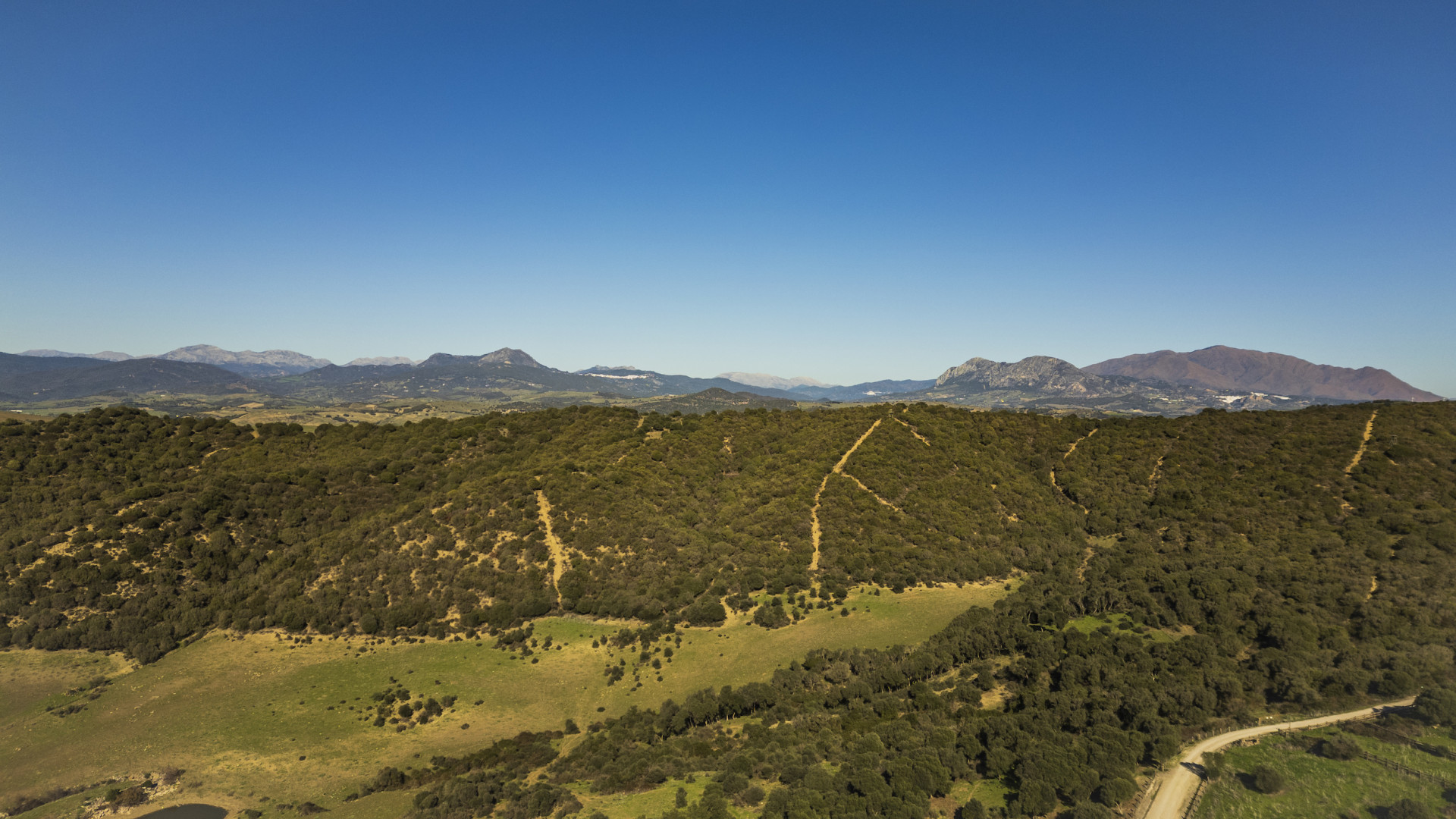 Finca in Jimena de La Frontera
